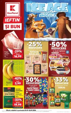 Catalog Kaufland
