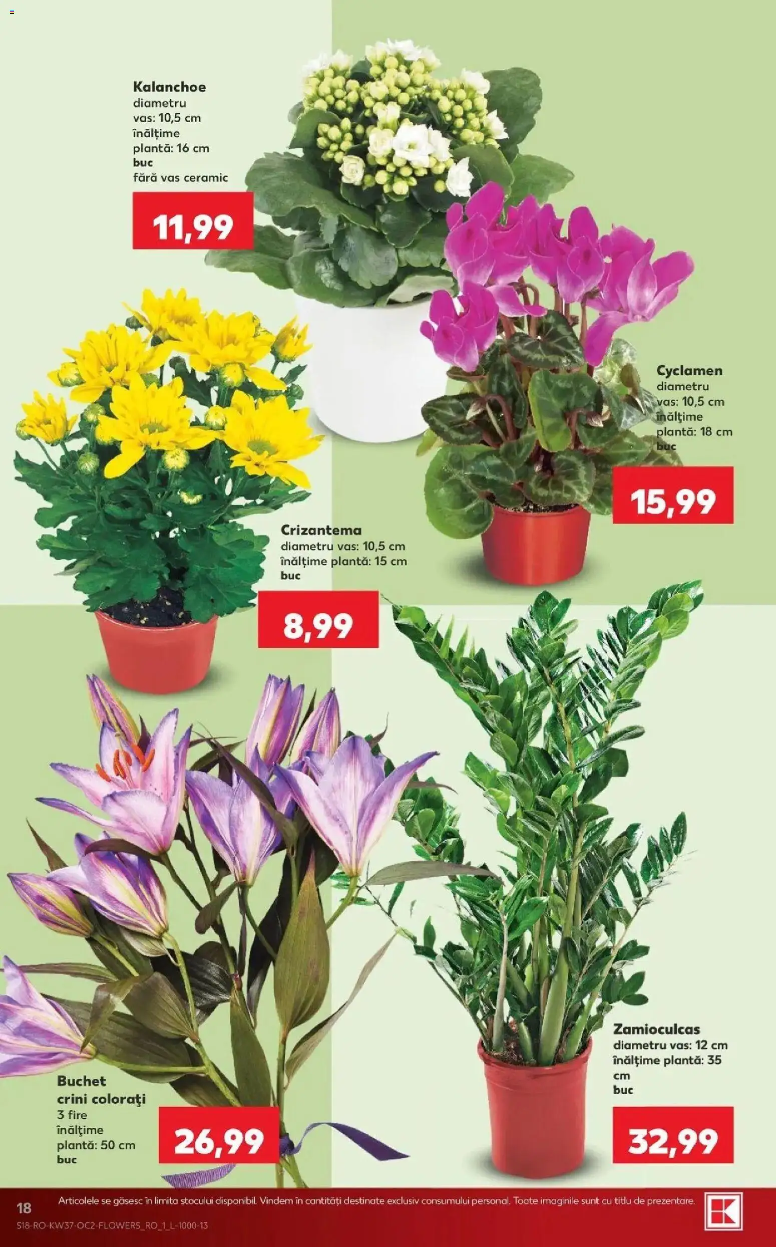Catalog Kaufland 9 - 14 Septembrie 2026 | Pagina 18