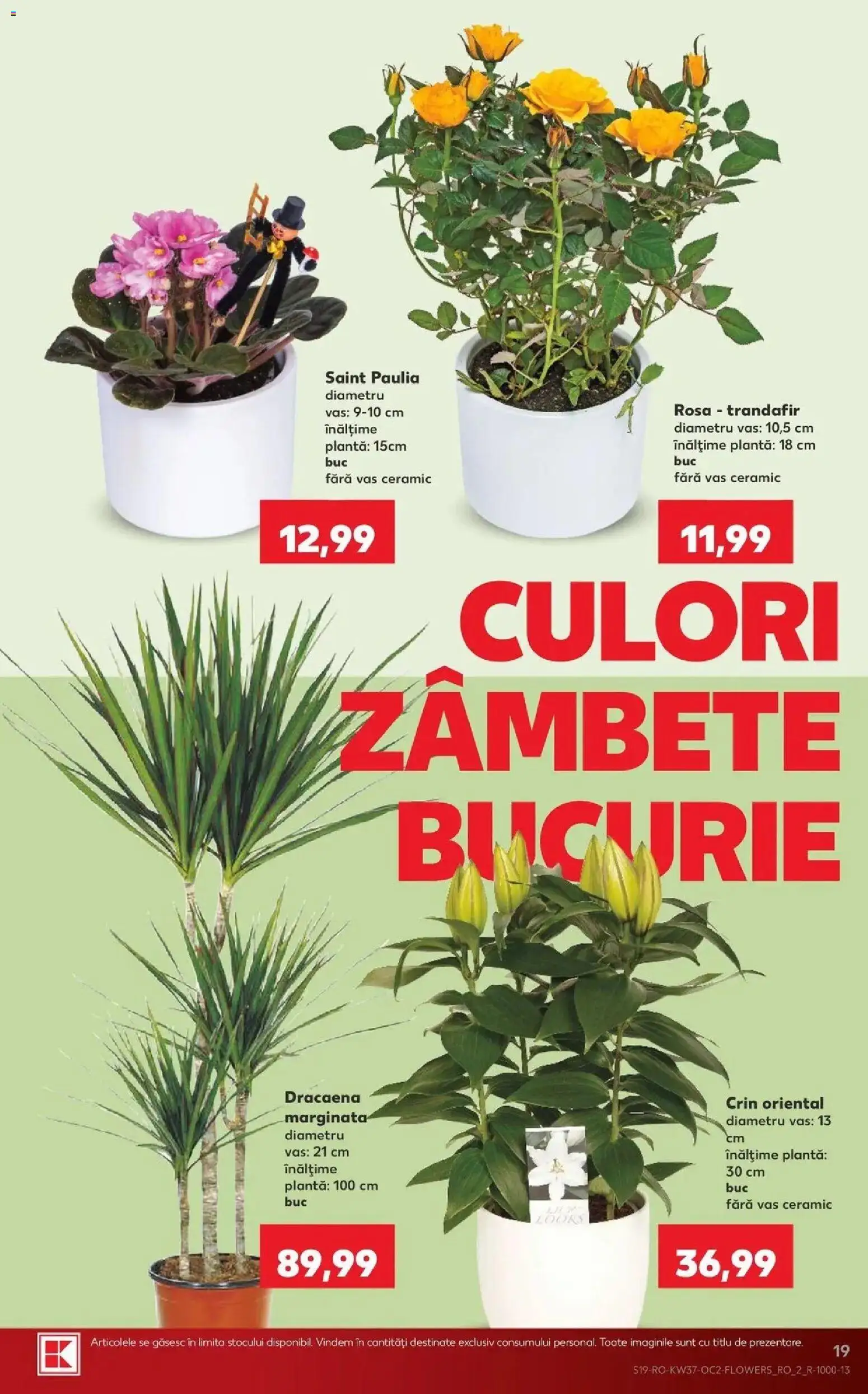 Catalog Kaufland 9 - 14 Septembrie 2026 | Pagina 19 | Produse: Trandafir