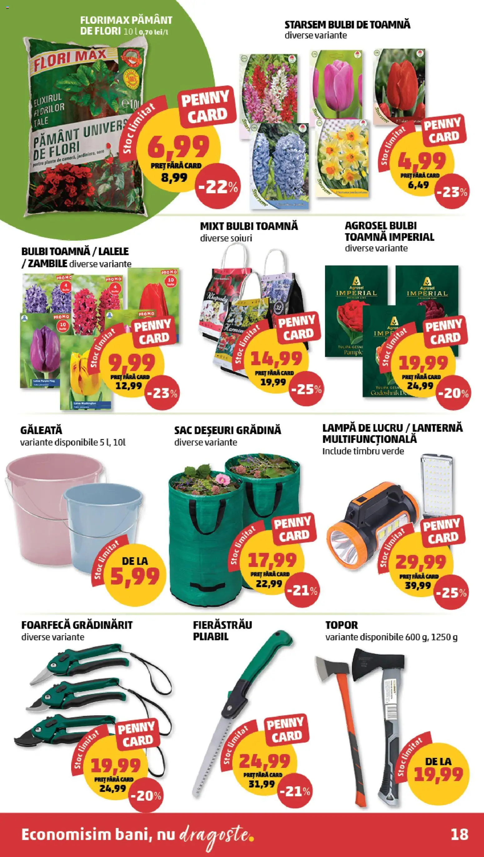 Catalog PENNY Market 9 - 14 Septembrie 2026 | Pagina 18 | Produse: Gradina, Lampă, Sac, Flori