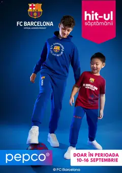 Catalog Pepco