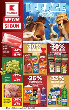 Catalog Kaufland