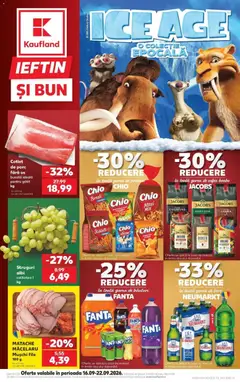 Catalog Kaufland