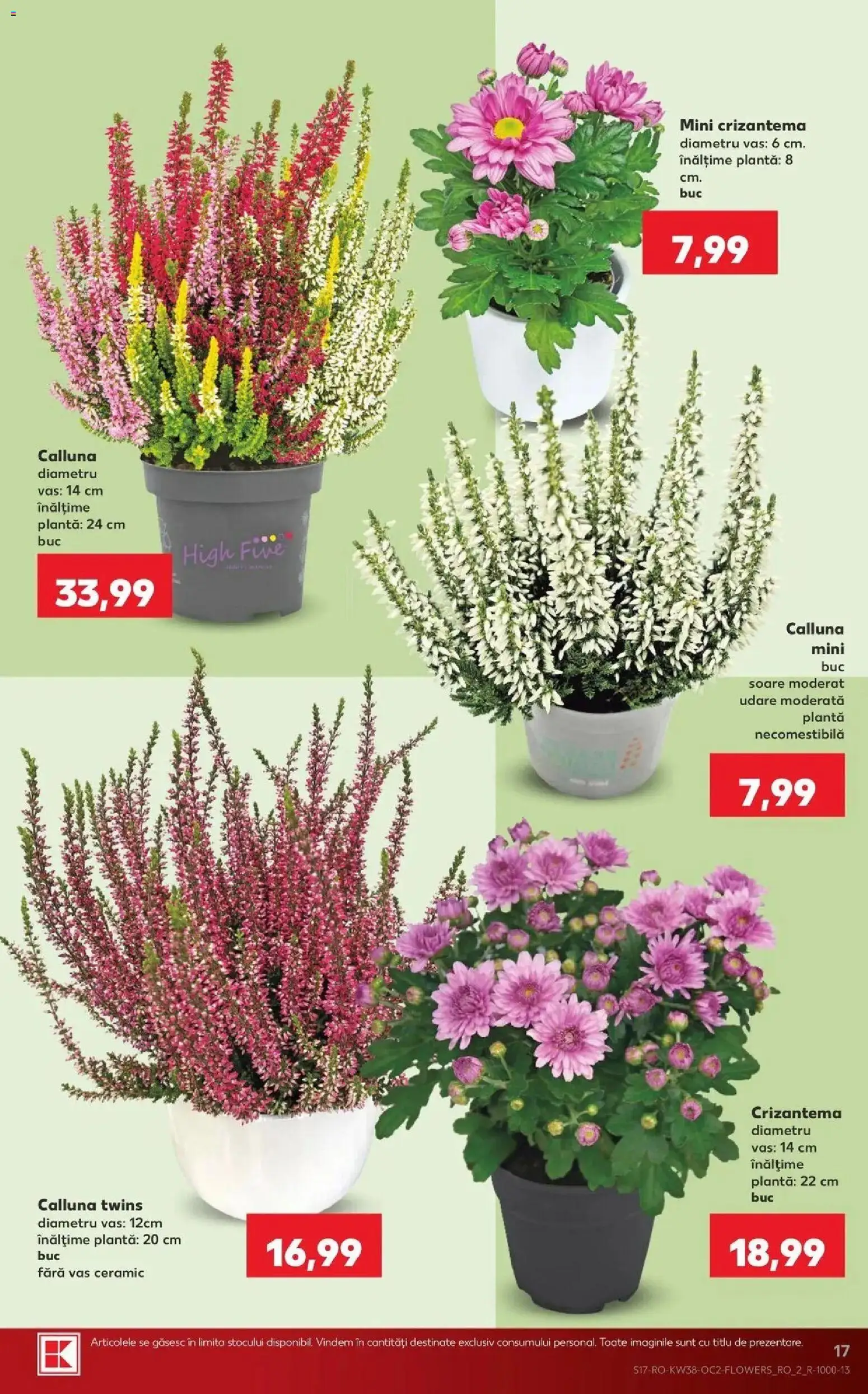 Catalog Kaufland 16 - 21 Septembrie 2026 | Pagina 17