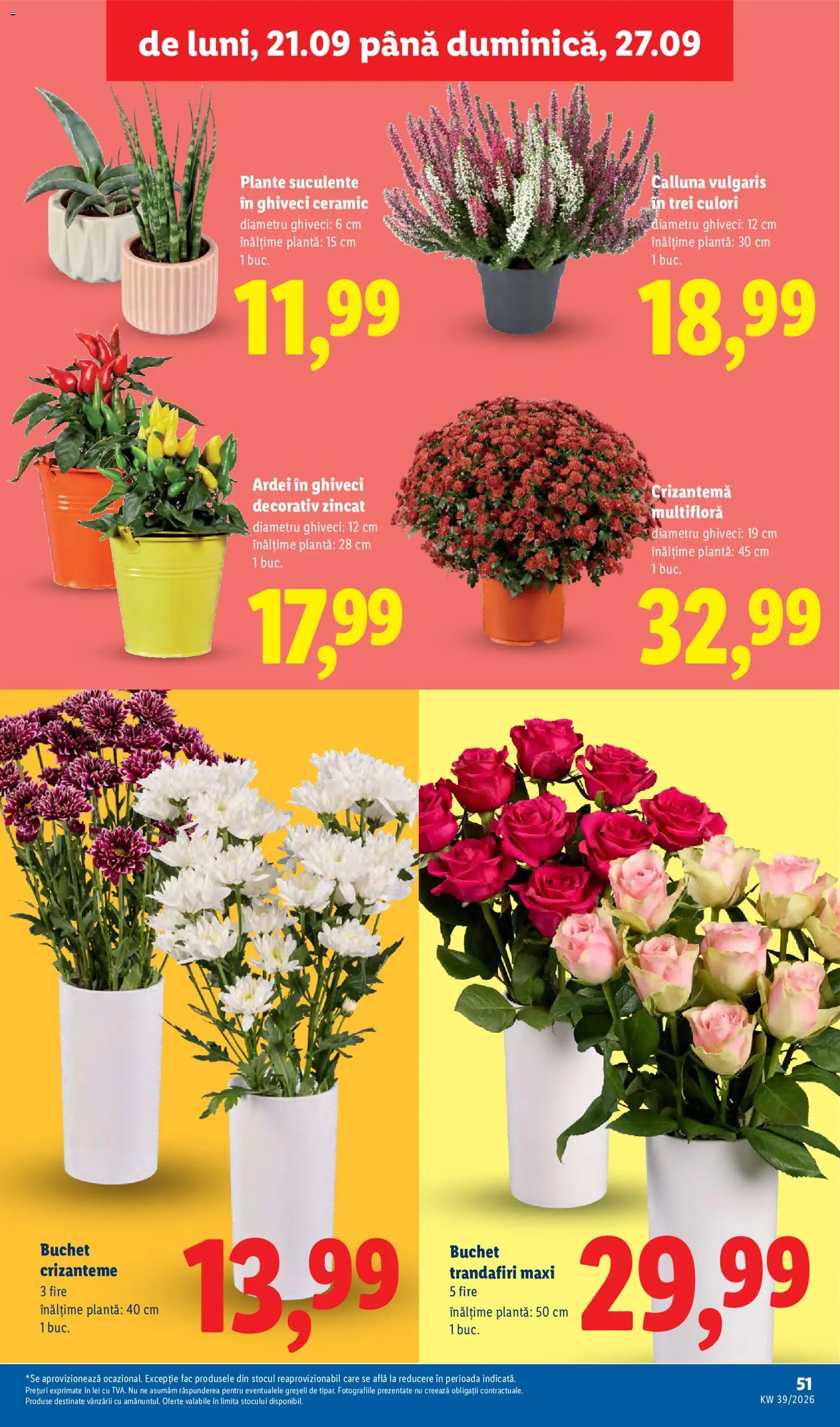 Catalog LIDL 21 - 26 Septembrie 2026 | Pagina 51
