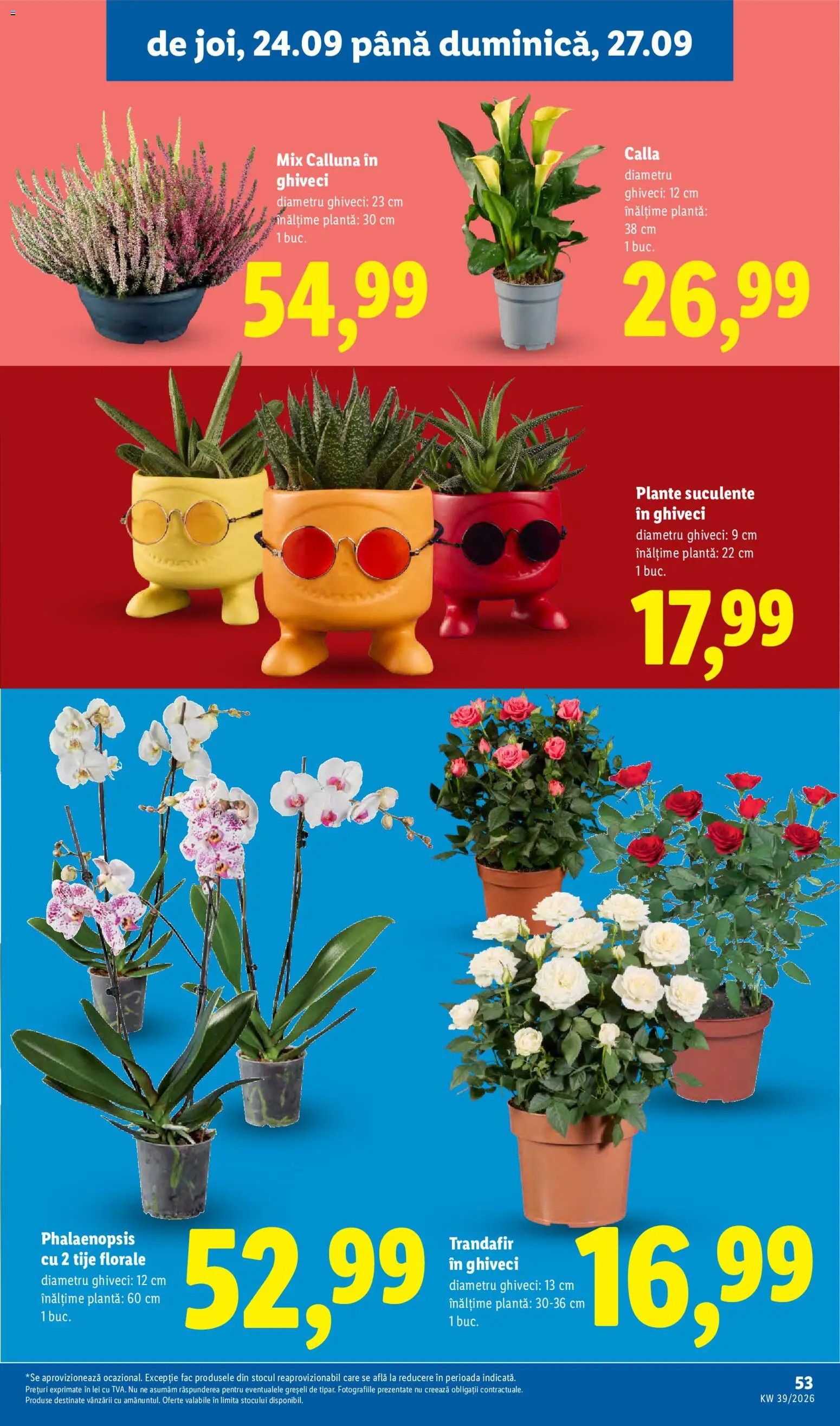Catalog LIDL 21 - 26 Septembrie 2026 | Pagina 53