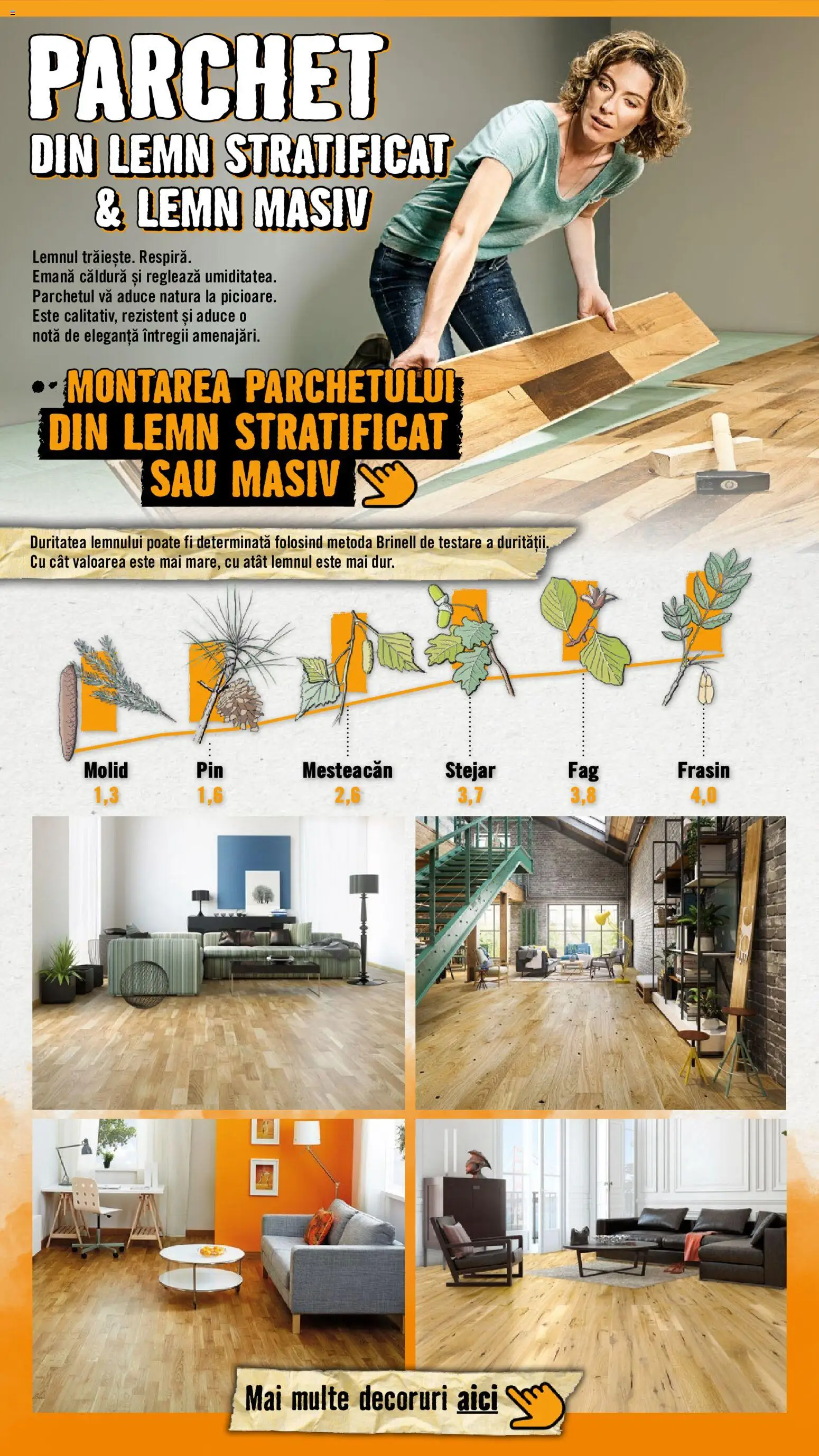 Catalog Hornbach 15 - 29 Septembrie 2026 | Pagina 10 | Produse: Parchet
