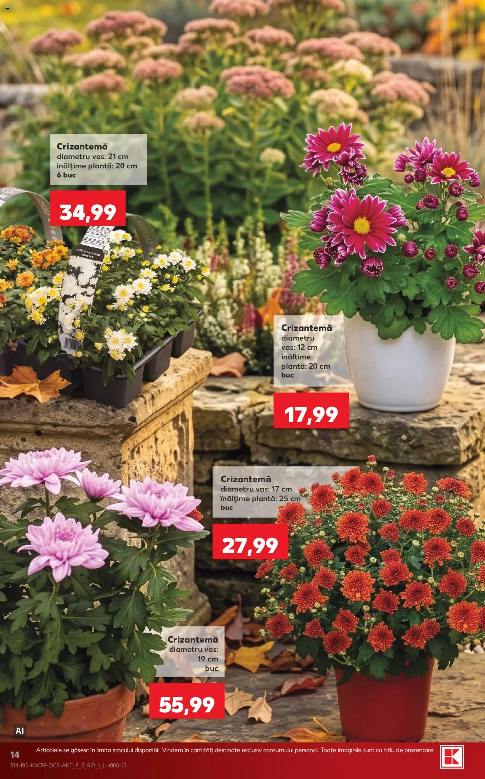 Catalog Kaufland 23 - 28 Septembrie 2026 | Pagina 14