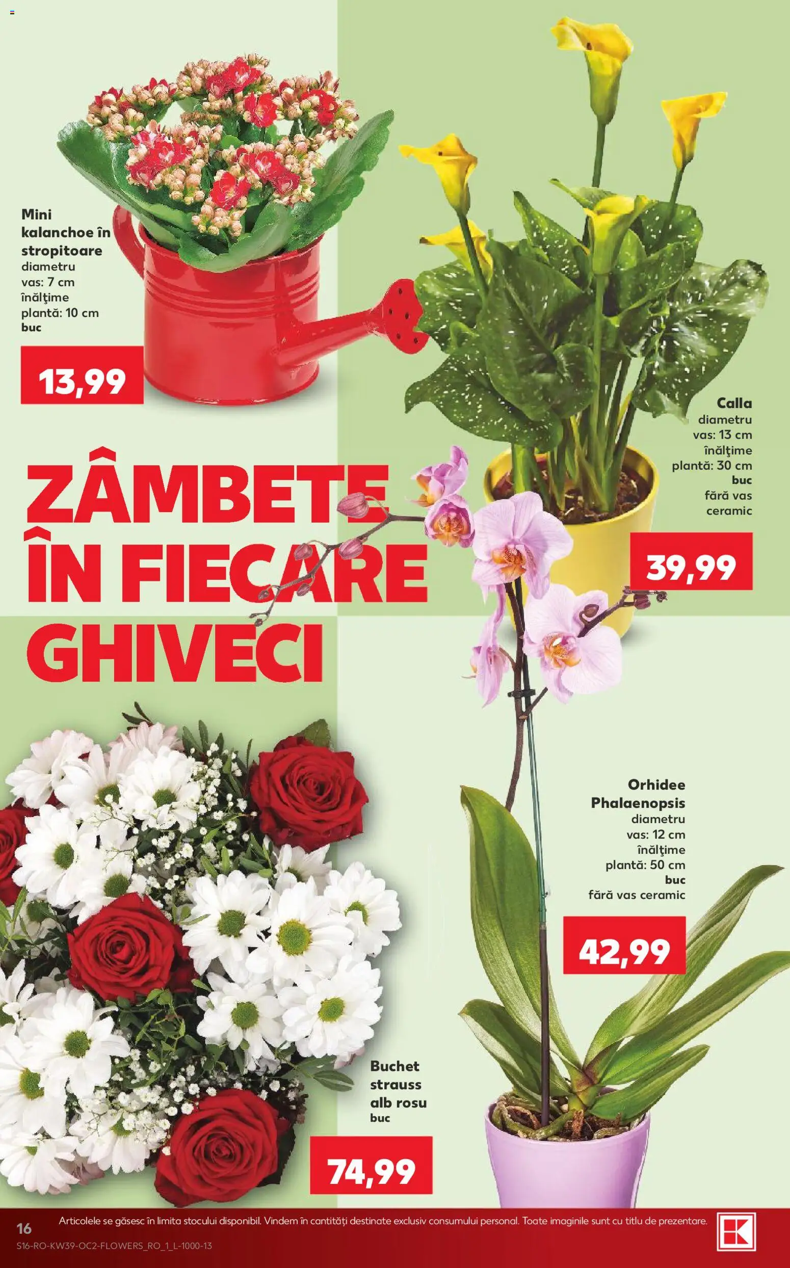 Catalog Kaufland 23 - 28 Septembrie 2026 | Pagina 16 | Produse: Orhidee, Ghiveci