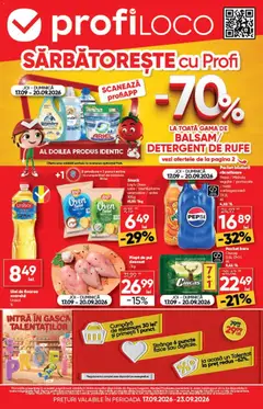 Catalog Profi