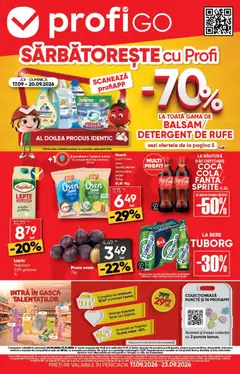Catalog Profi