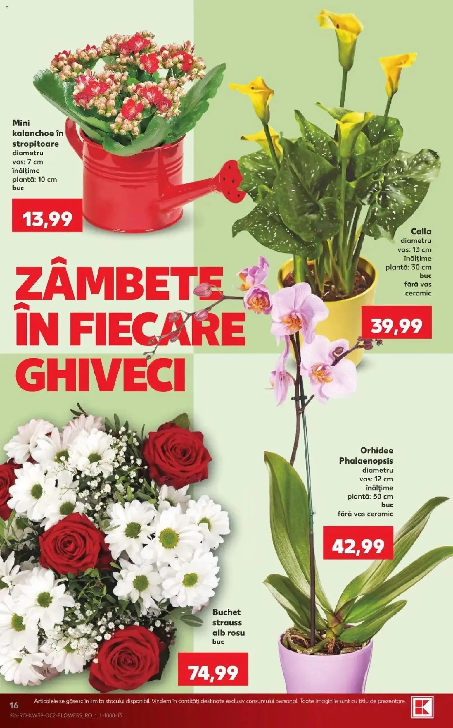 Catalog Kaufland 23 - 28 Septembrie 2026 | Pagina 16 | Produse: Orhidee, Ghiveci