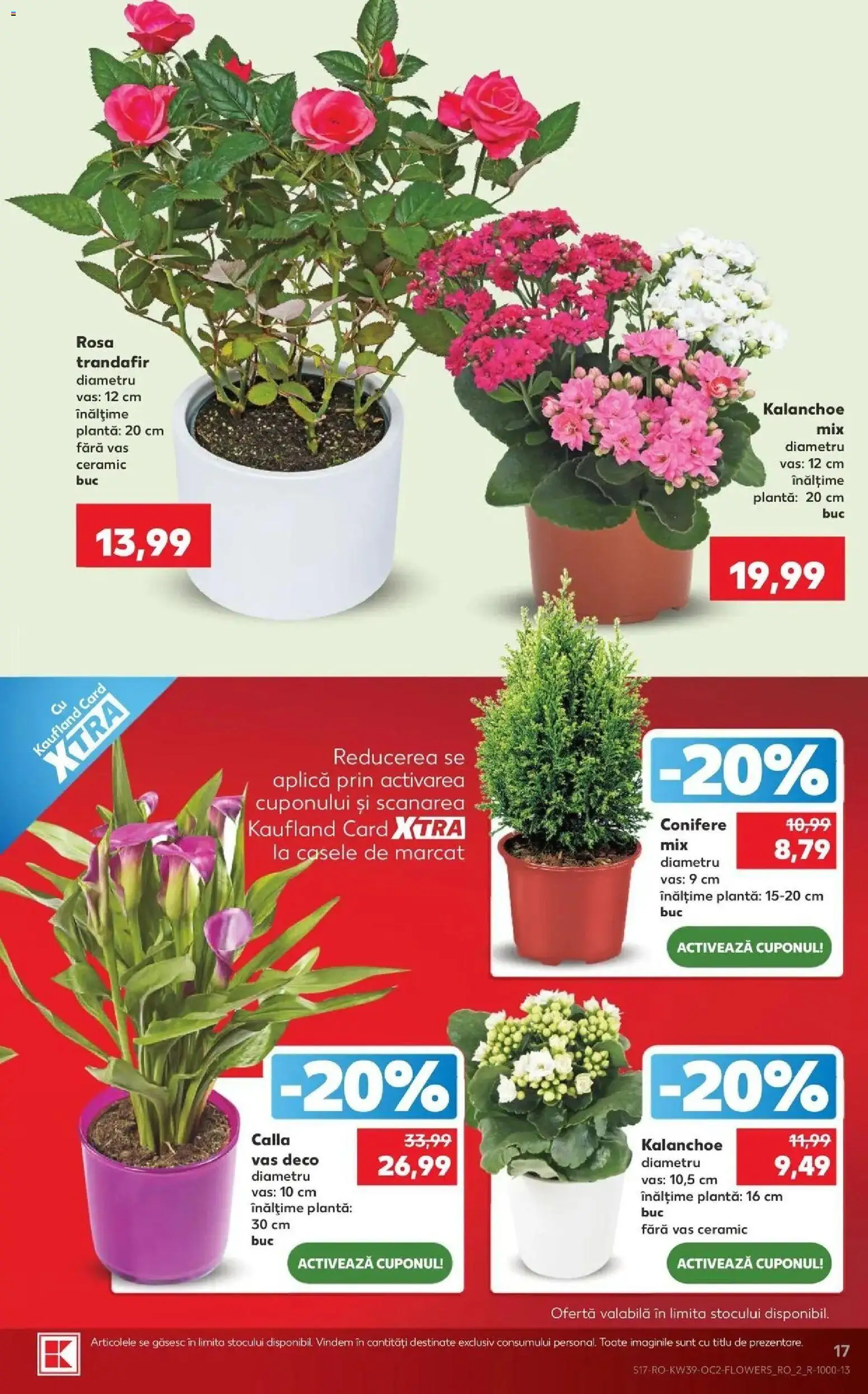 Catalog Kaufland 23 - 28 Septembrie 2026 | Pagina 17 | Produse: Aplică, Trandafir