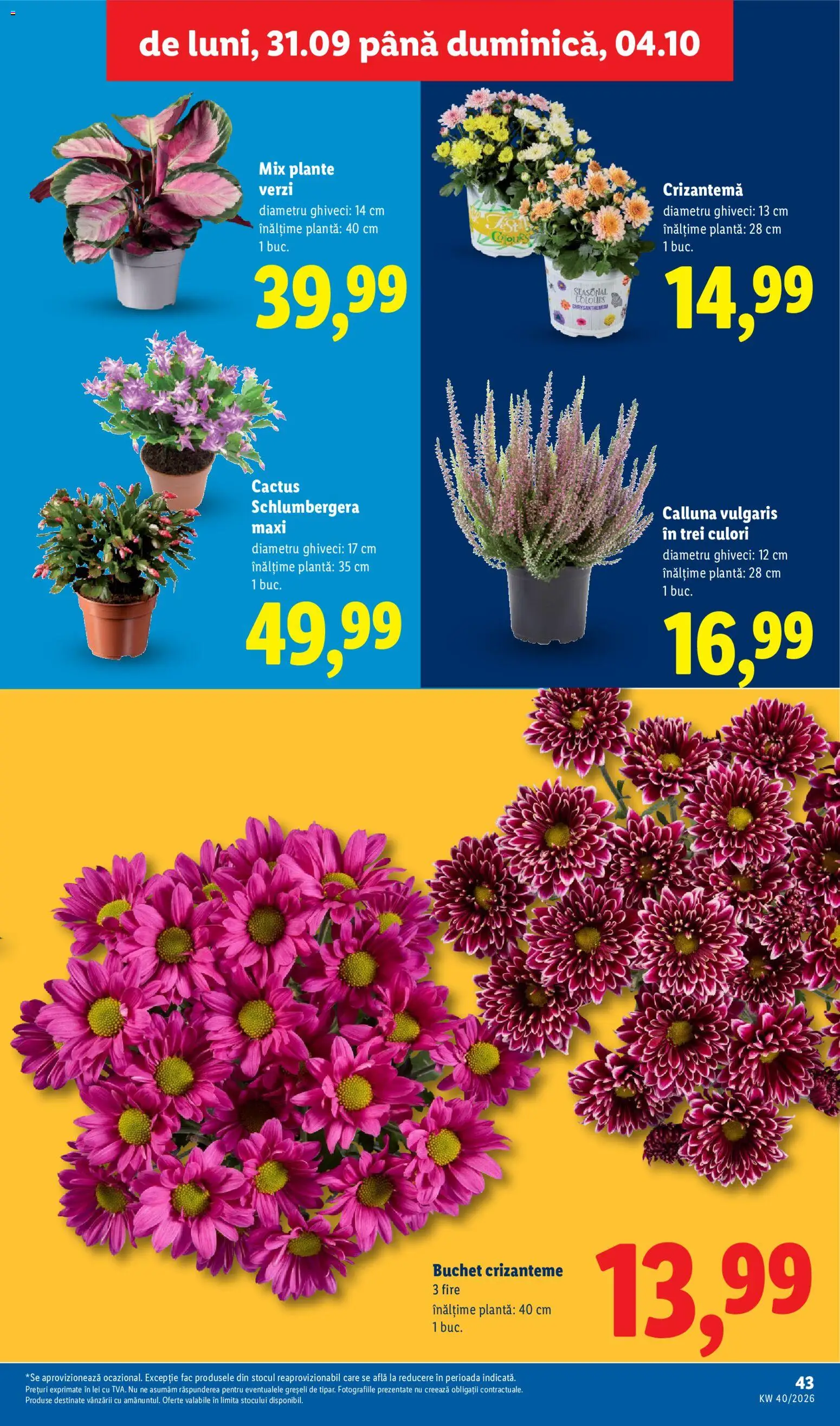 Catalog LIDL 28 Septembrie - 3 Octombrie 2026 | Pagina 43 | Produse: Ghiveci