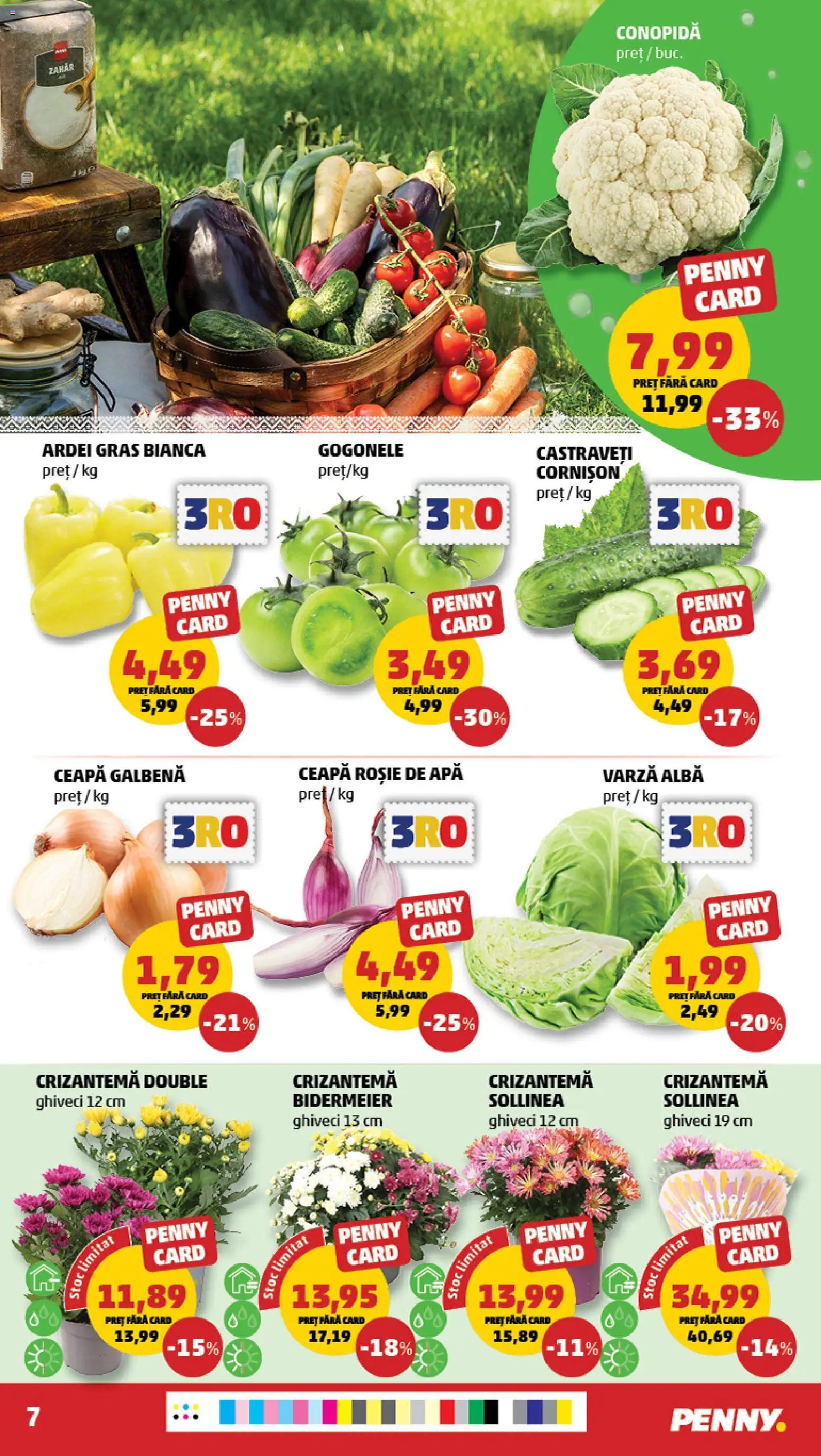 Catalog PENNY Market 23 - 28 Septembrie 2026 | Pagina 7 | Produse: Conopidă, Ghiveci, Ardei, Castraveți