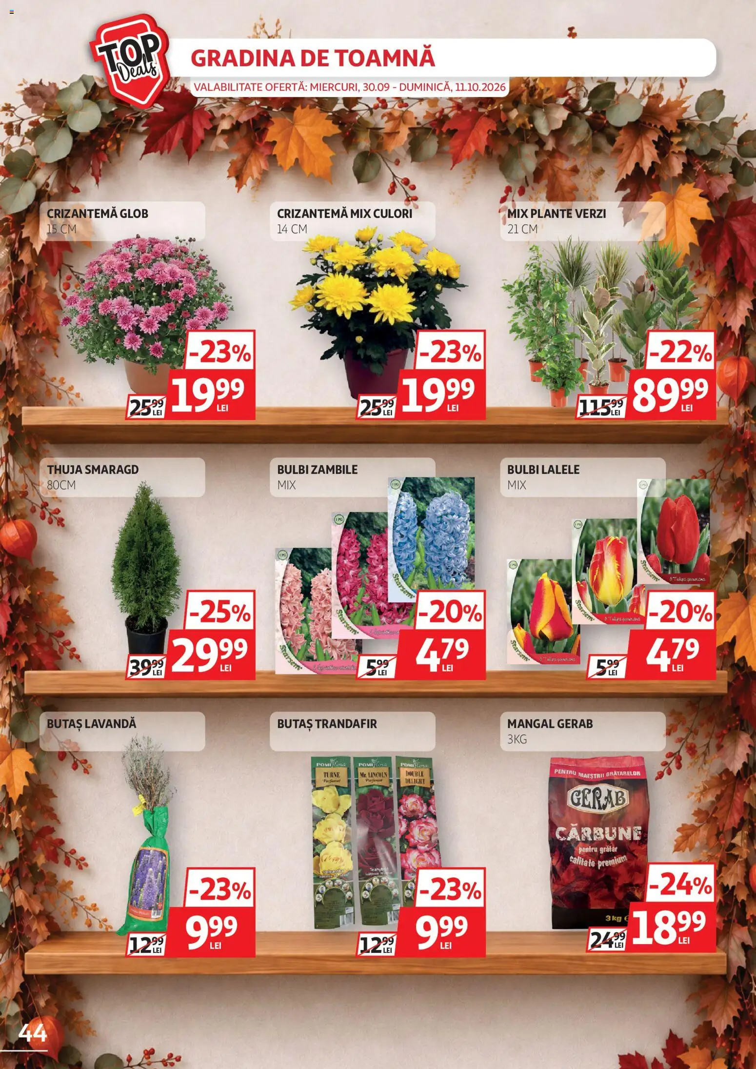 Catalog Auchan 30 Septembrie - 10 Octombrie 2026 | Pagina 44 | Produse: Premium, Gradina, Trandafir, Grătar