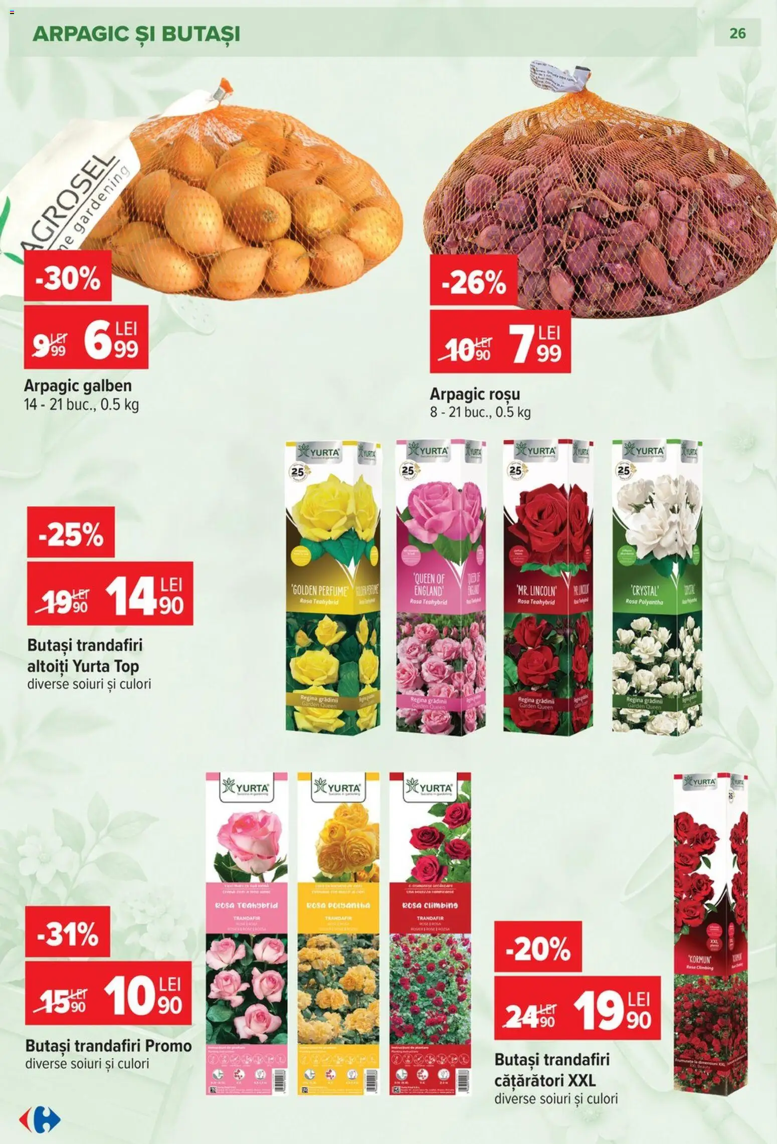 Catalog Carrefour 23 Septembrie - 26 Octombrie 2026 | Pagina 26 | Produse: Regina, Top, Trandafir