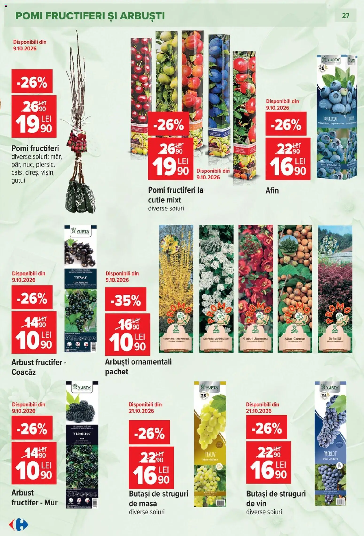 Catalog Carrefour 23 Septembrie - 26 Octombrie 2026 | Pagina 27 | Produse: Struguri, Masă, Cutie, Vin