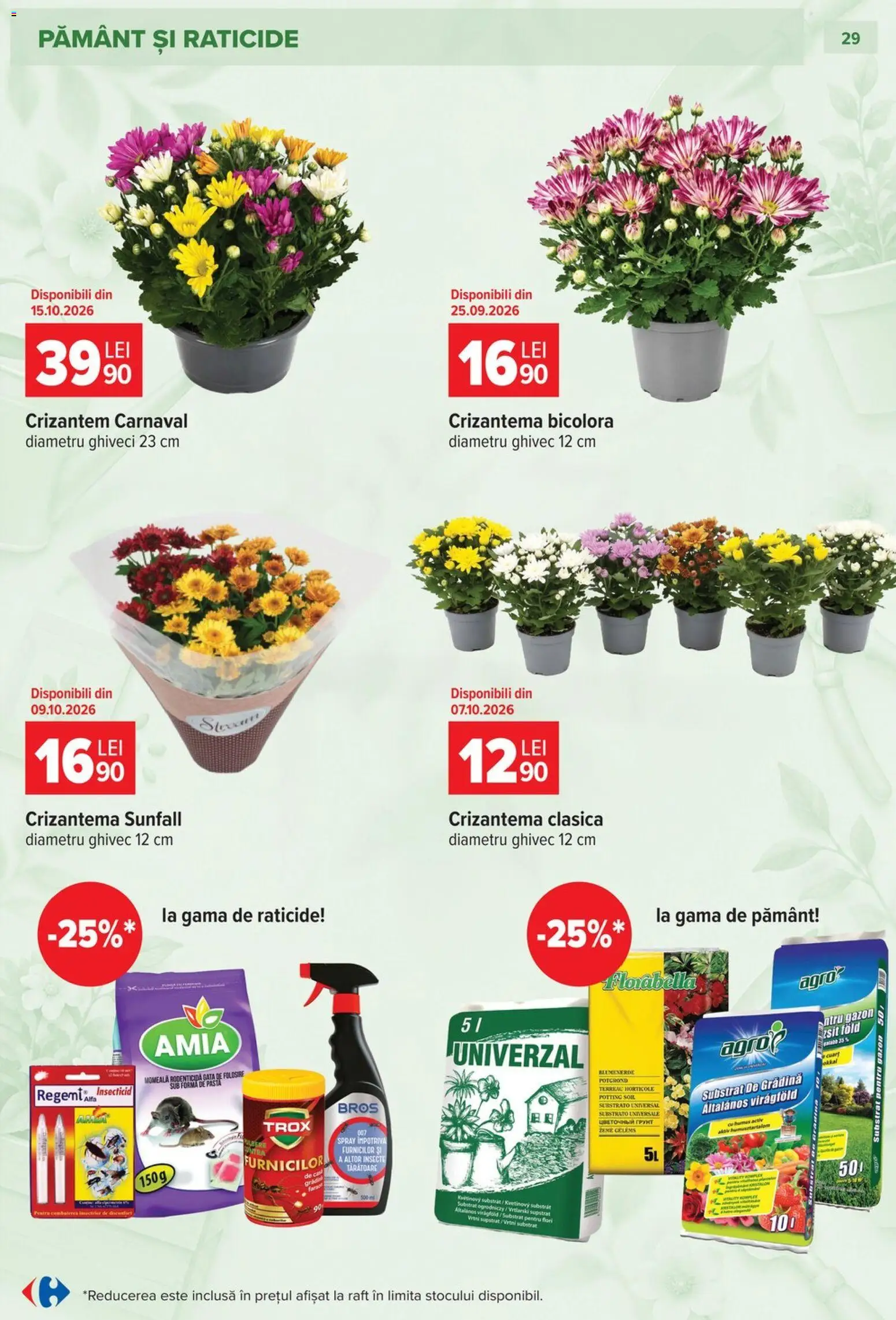 Catalog Carrefour 23 Septembrie - 26 Octombrie 2026 | Pagina 29 | Produse: Gradina, Raft, Ghiveci, Flori