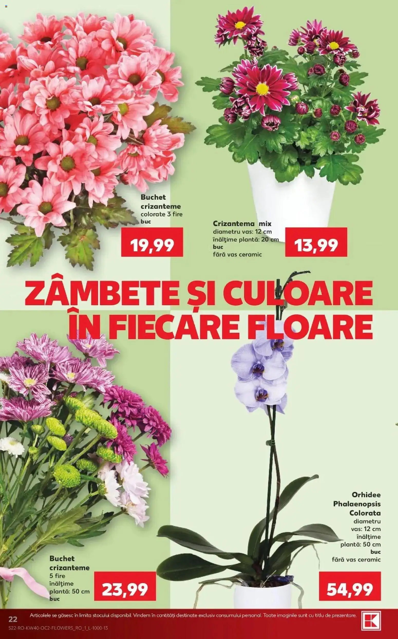 Catalog Kaufland 30 Septembrie - 5 Octombrie 2026 | Pagina 22 | Produse: Orhidee