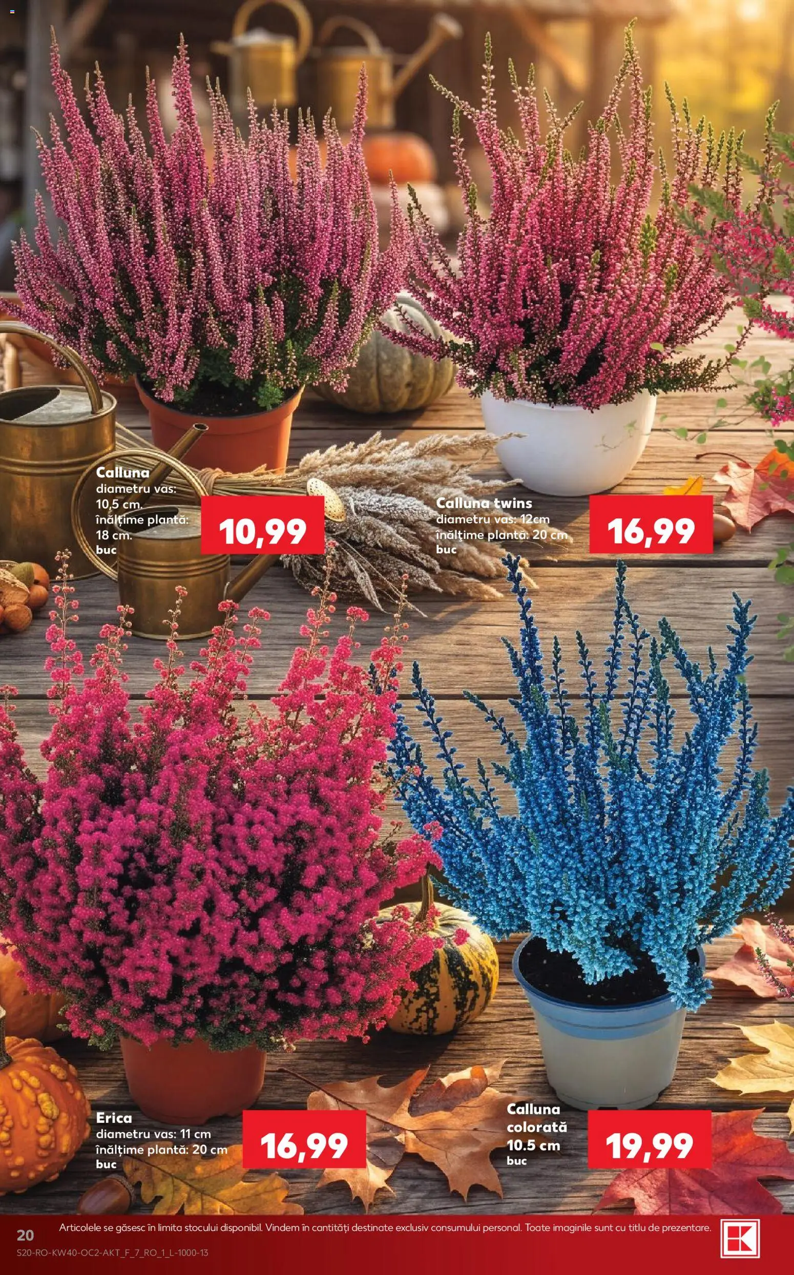 Catalog Kaufland 30 Septembrie - 5 Octombrie 2026 | Pagina 20
