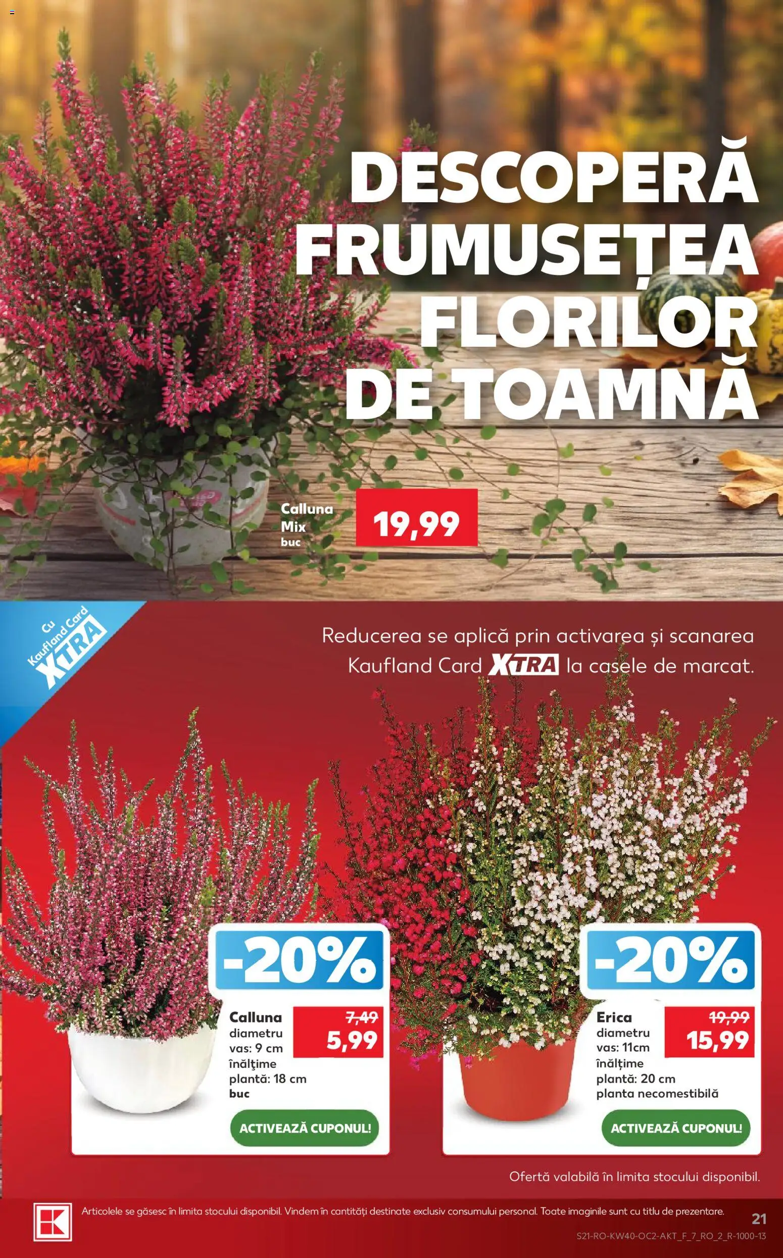 Catalog Kaufland 30 Septembrie - 5 Octombrie 2026 | Pagina 21 | Produse: Aplică