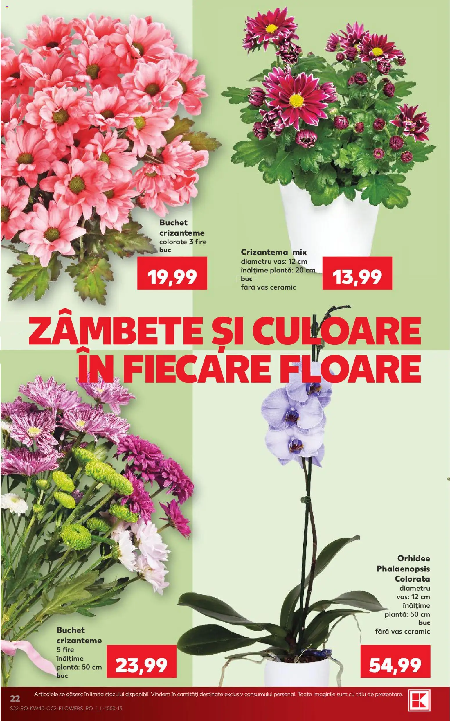 Catalog Kaufland 30 Septembrie - 5 Octombrie 2026 | Pagina 22 | Produse: Orhidee