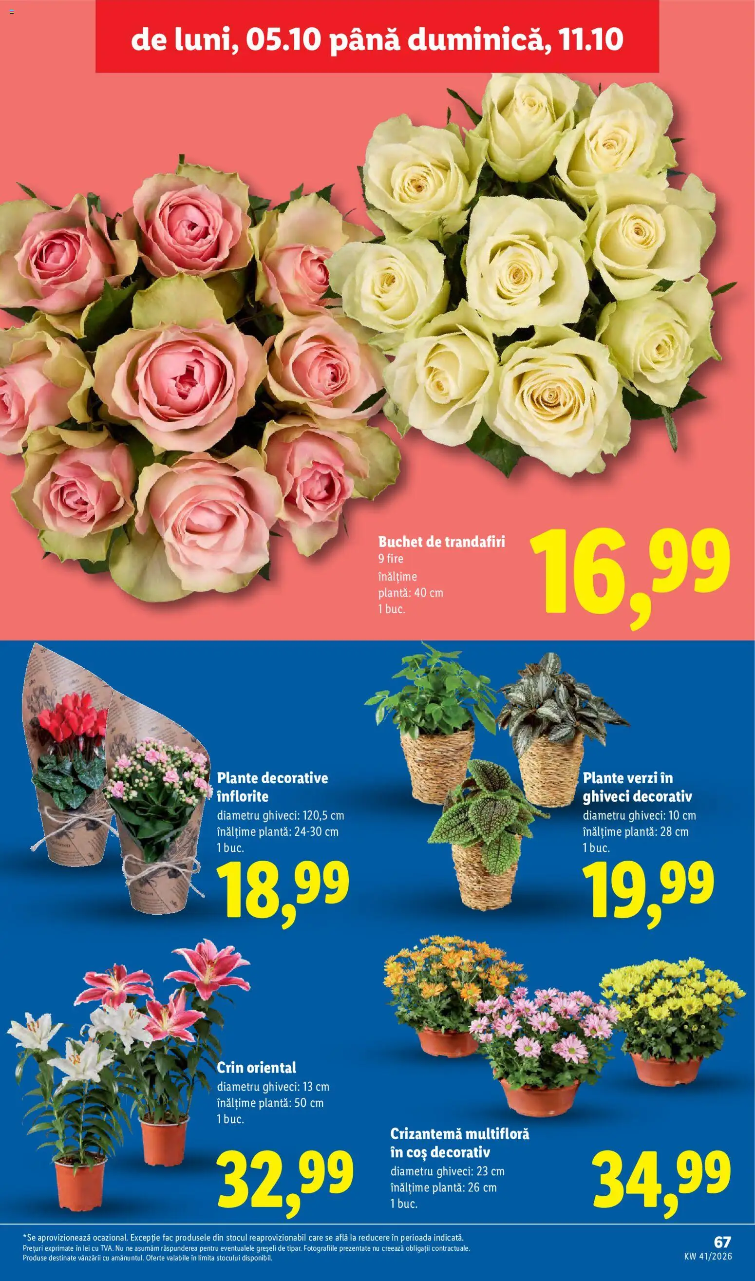 Catalog LIDL 5 - 10 Octombrie 2026 | Pagina 67