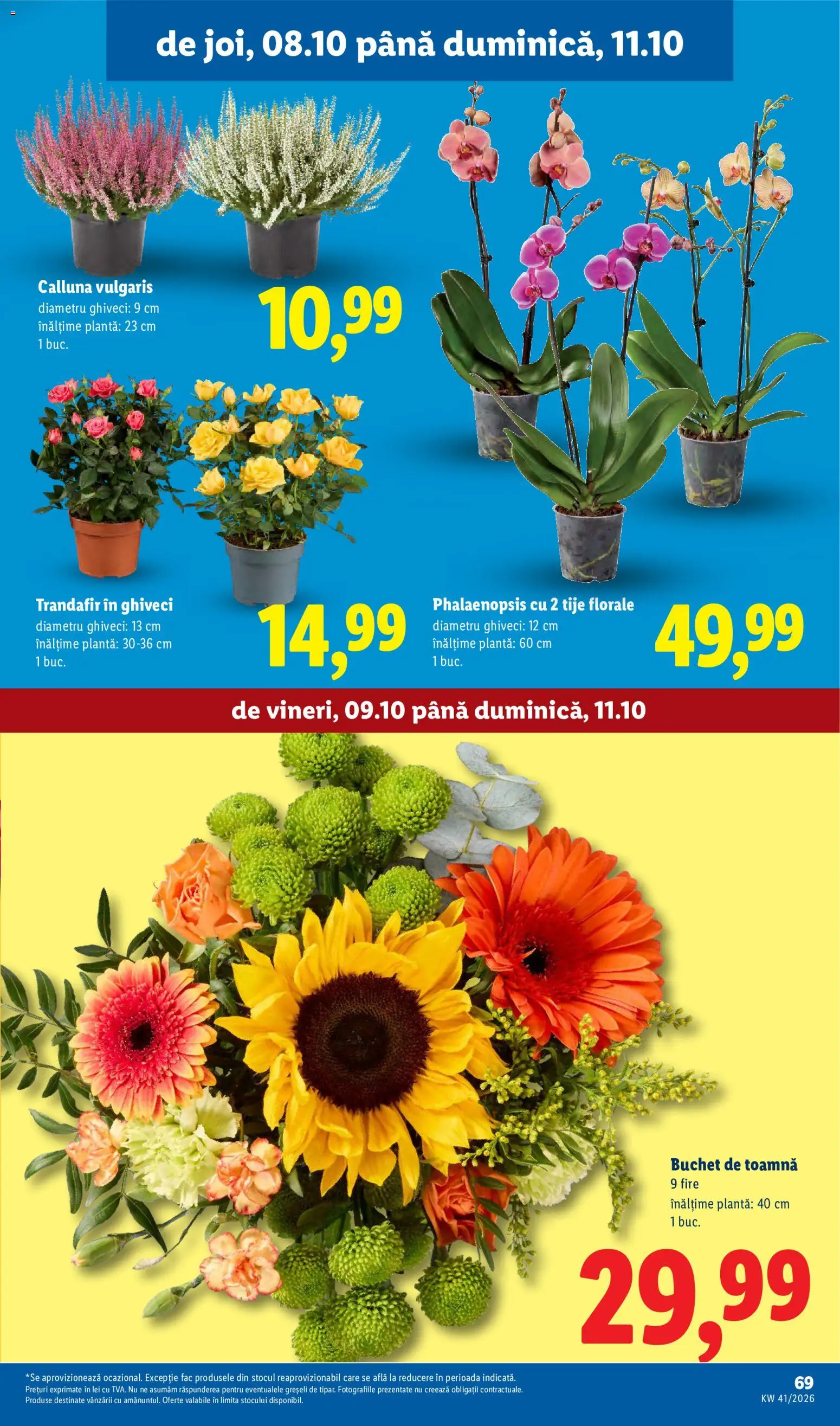 Catalog LIDL 5 - 10 Octombrie 2026 | Pagina 69