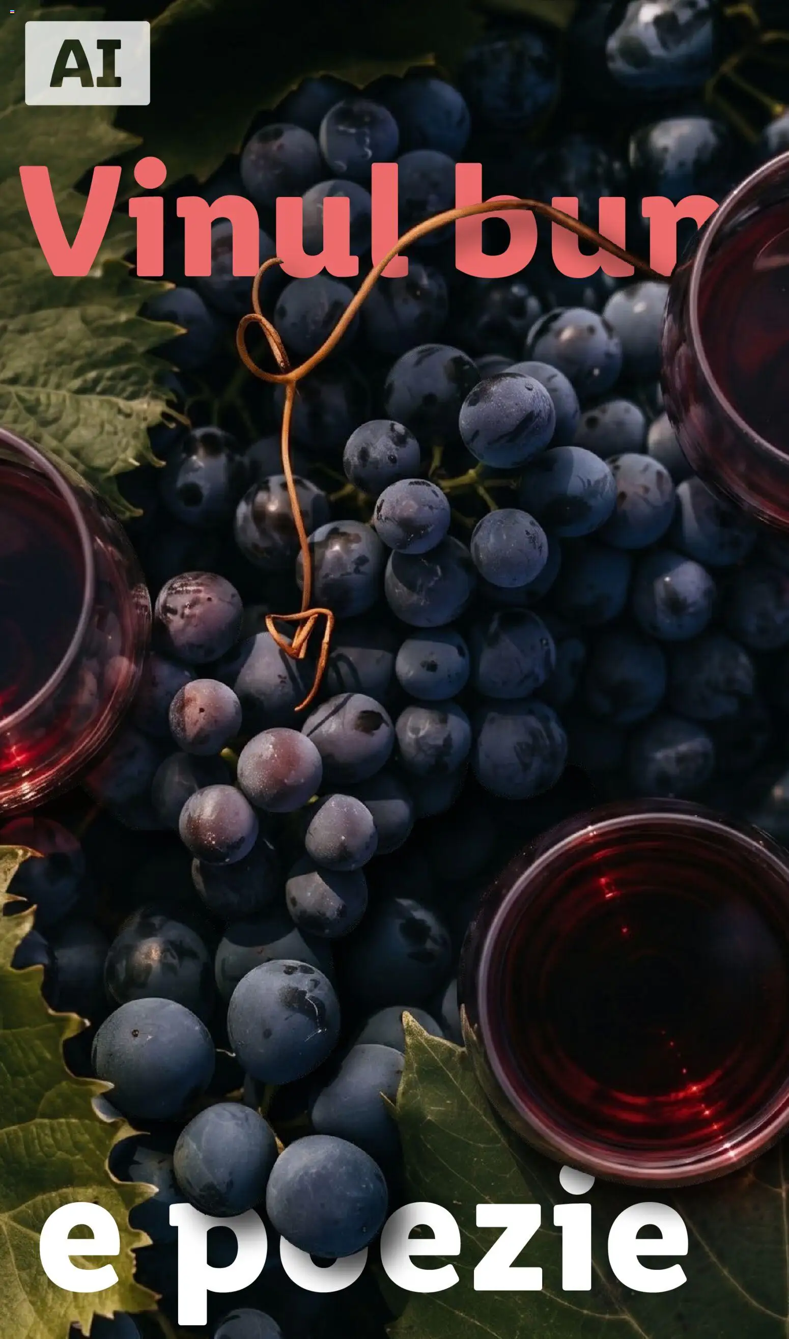 Catalog LIDL 28 Septembrie - 30 Octombrie 2026 | Pagina 34