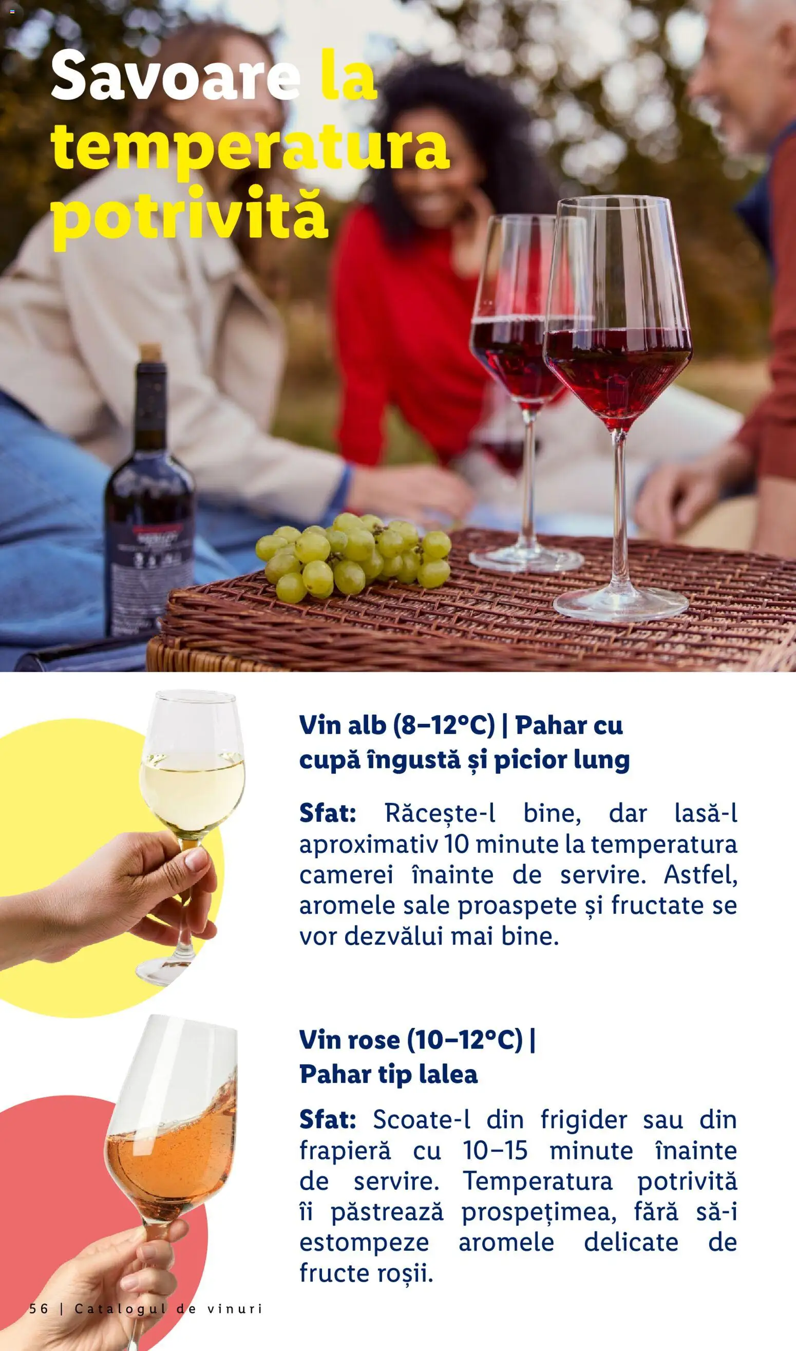 Catalog LIDL 28 Septembrie - 30 Octombrie 2026 | Pagina 56 | Produse: Frigider, Vin alb, Vin, Fructe