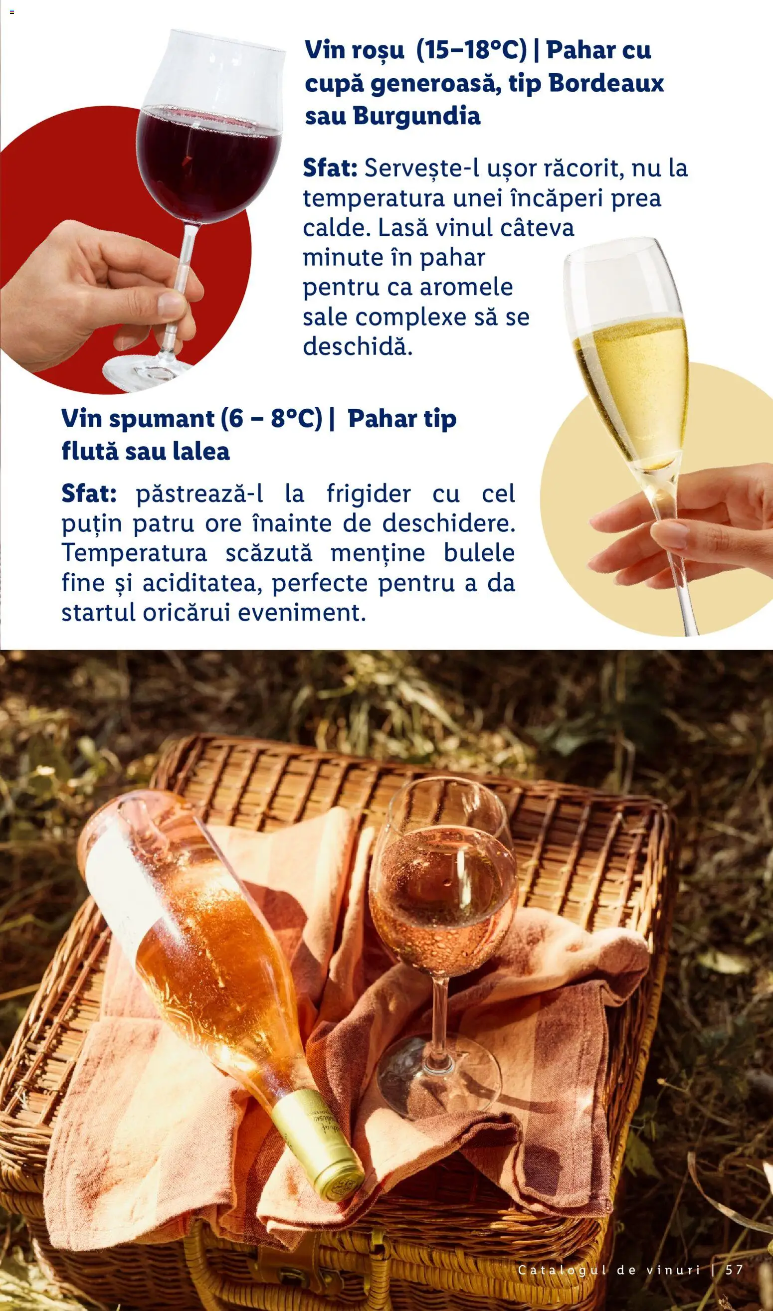 Catalog LIDL 28 Septembrie - 30 Octombrie 2026 | Pagina 57 | Produse: Vin rosu, Frigider, Vin, Tip
