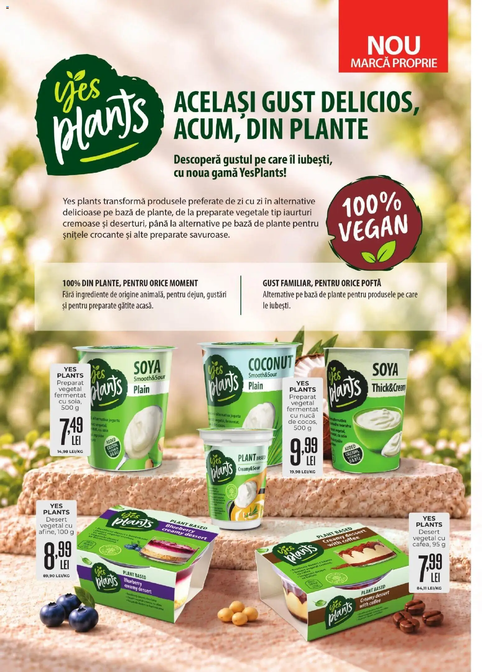 Catalog Mega Image 1 - 30 Octombrie 2026 | Pagina 26 | Produse: Afine, Tip, Desert