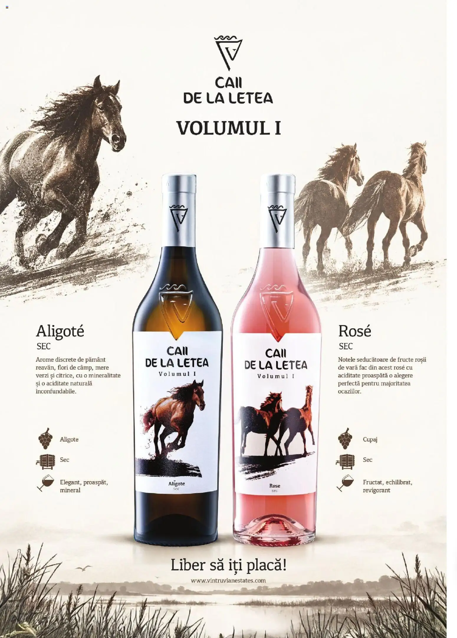 Catalog Mega Image 1 - 30 Octombrie 2026 | Pagina 34 | Produse: Mere, Roșii, Flori, Fructe