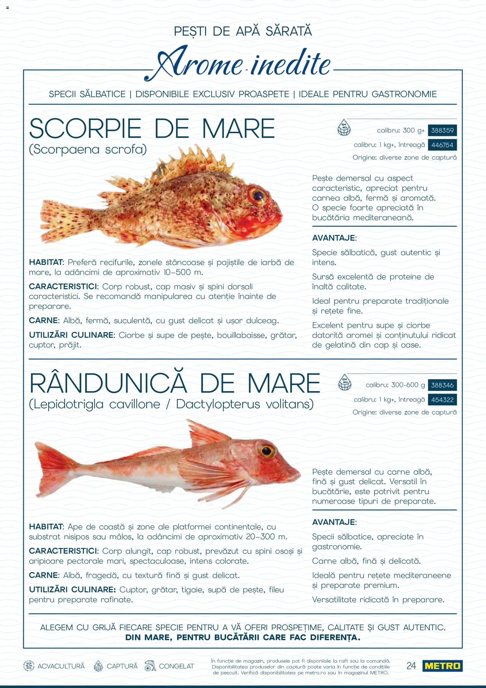 Catalog METRO 1 Octombrie - 30 Decembrie 2026 | Pagina 24 | Produse: Proteine, Raft, Pește, Apă