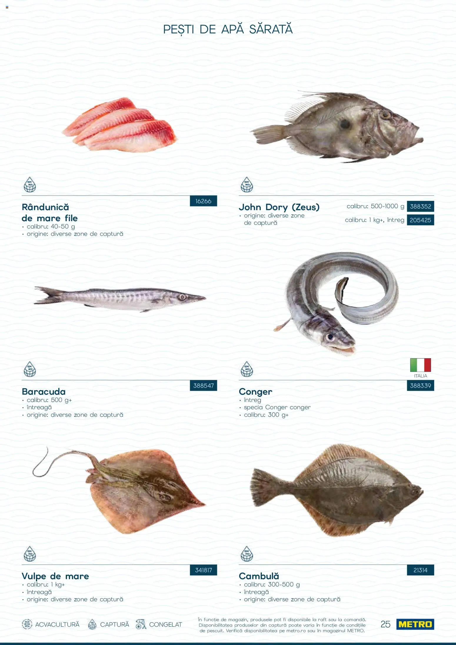 Catalog METRO 1 Octombrie - 30 Decembrie 2026 | Pagina 25 | Produse: Raft, Apă