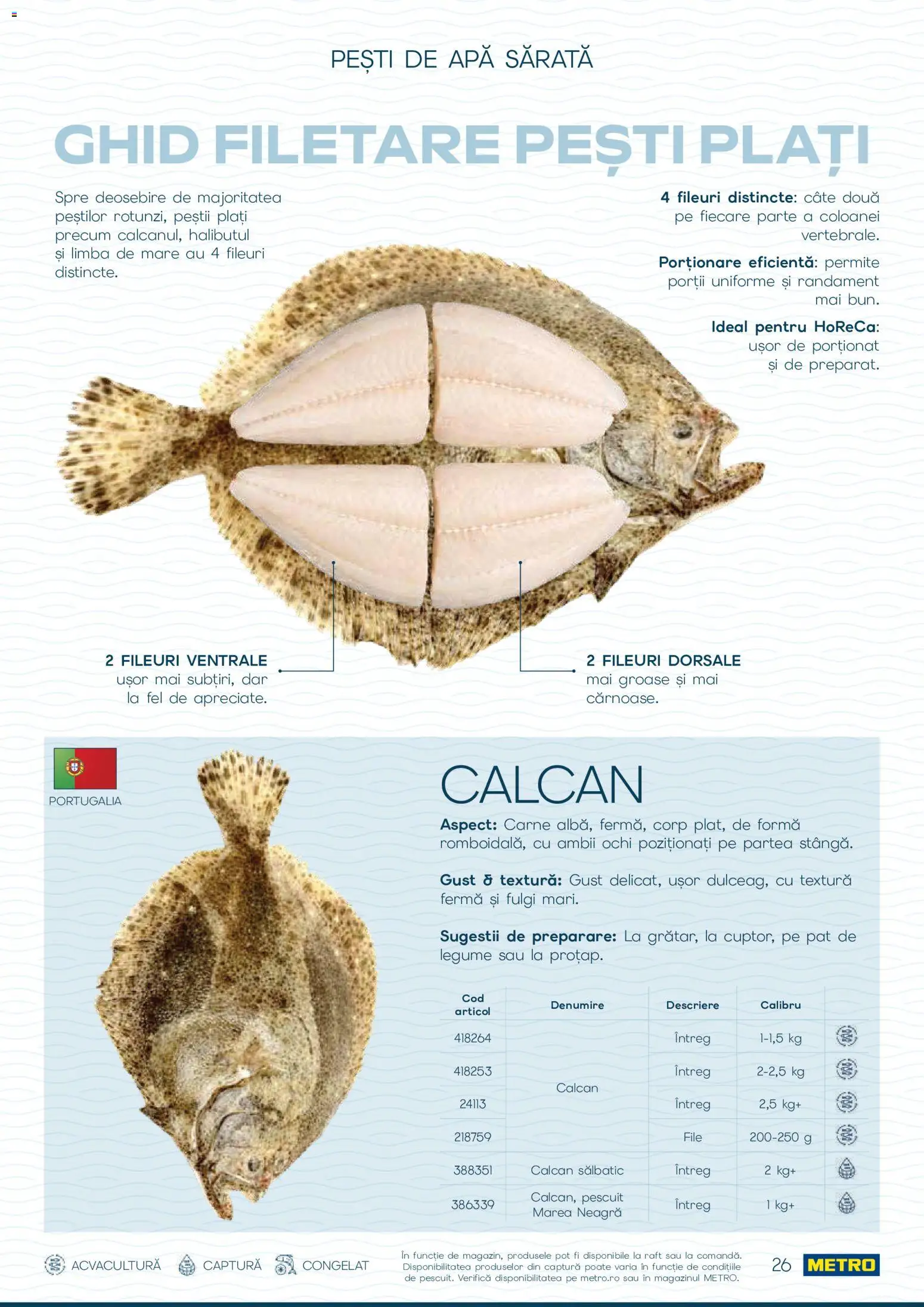 Catalog METRO 1 Octombrie - 30 Decembrie 2026 | Pagina 26 | Produse: Ochi, Pat, Raft, Apă