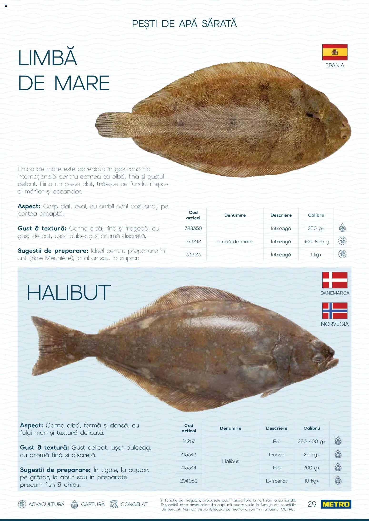 Catalog METRO 1 Octombrie - 30 Decembrie 2026 | Pagina 29 | Produse: Ochi, Fulgi, Trunchi, Apă