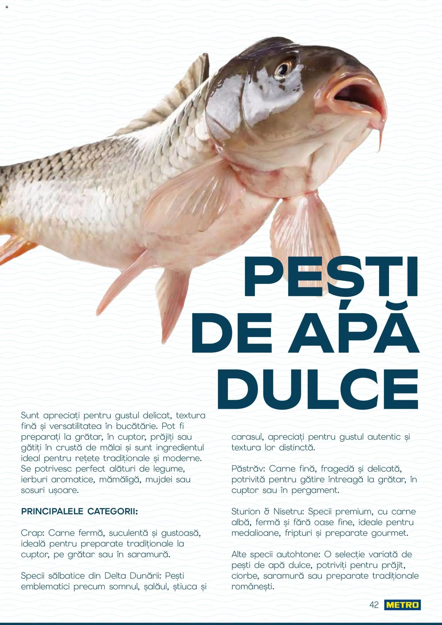 Catalog METRO 1 Octombrie - 30 Decembrie 2026 | Pagina 42 | Produse: Pastrav, Grătar, Mălai, Apă