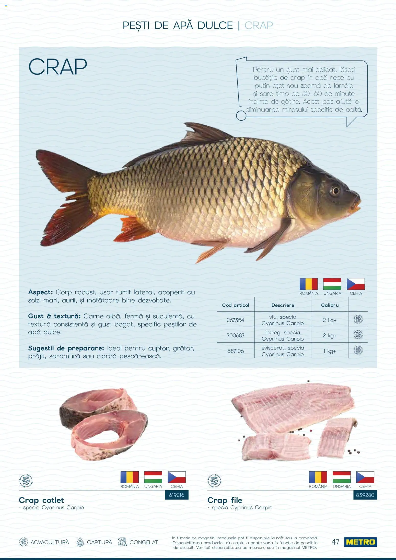 Catalog METRO 1 Octombrie - 30 Decembrie 2026 | Pagina 47 | Produse: Ciorba, Cotlet, Apă, Sare