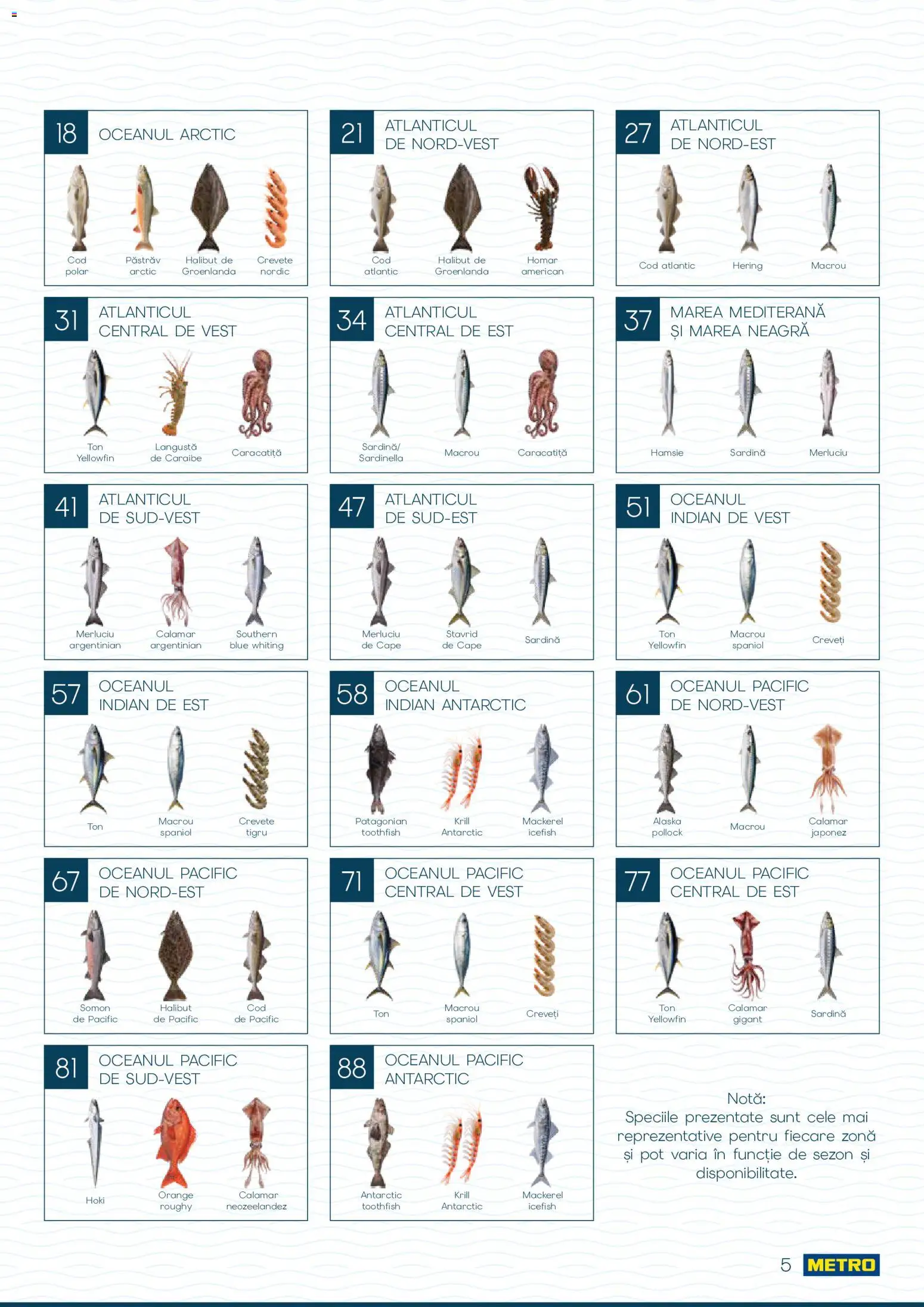 Catalog METRO 1 Octombrie - 30 Decembrie 2026 | Pagina 5 | Produse: Pastrav, Macrou, Somon