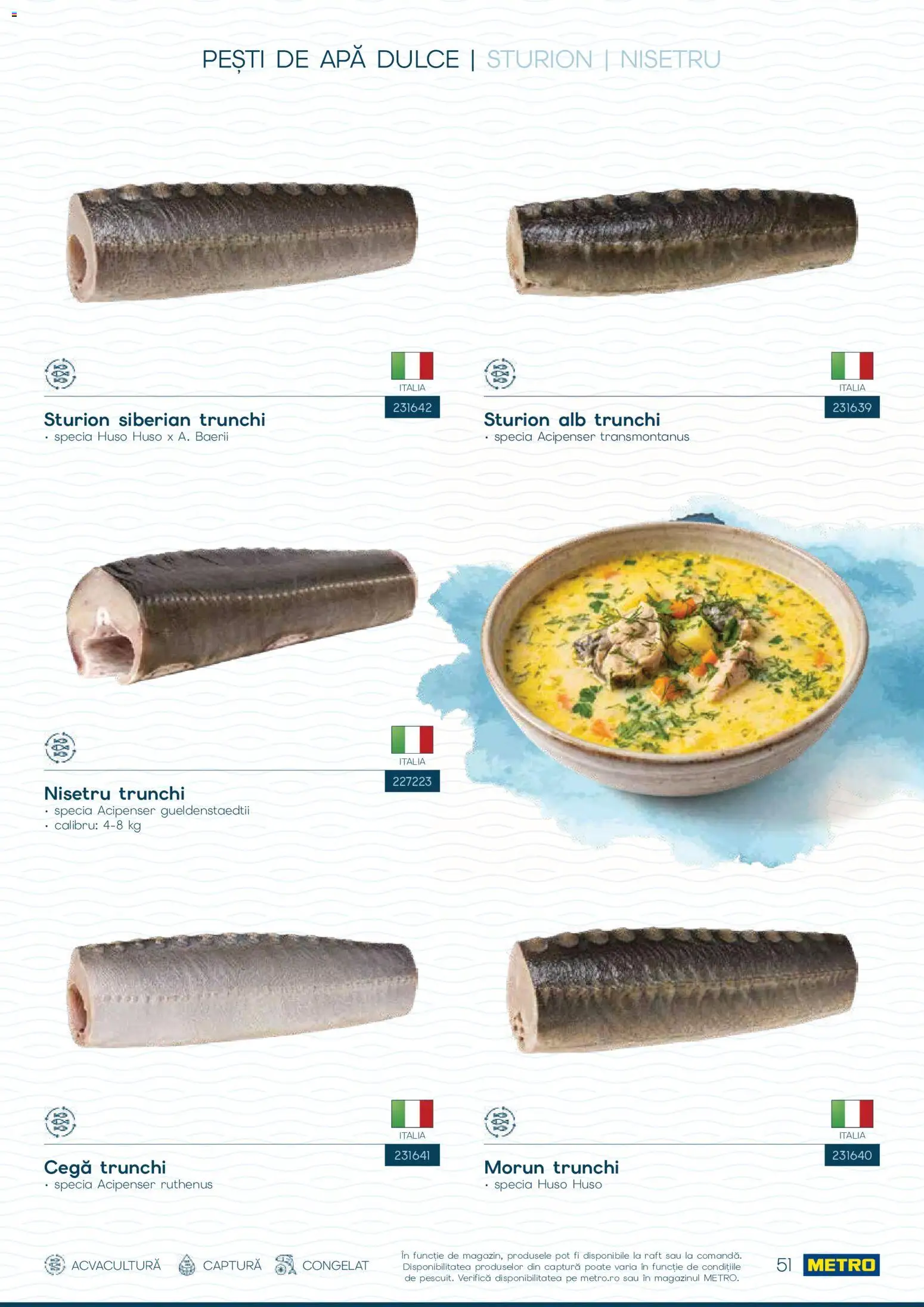 Catalog METRO 1 Octombrie - 30 Decembrie 2026 | Pagina 51 | Produse: Raft, Trunchi, Apă