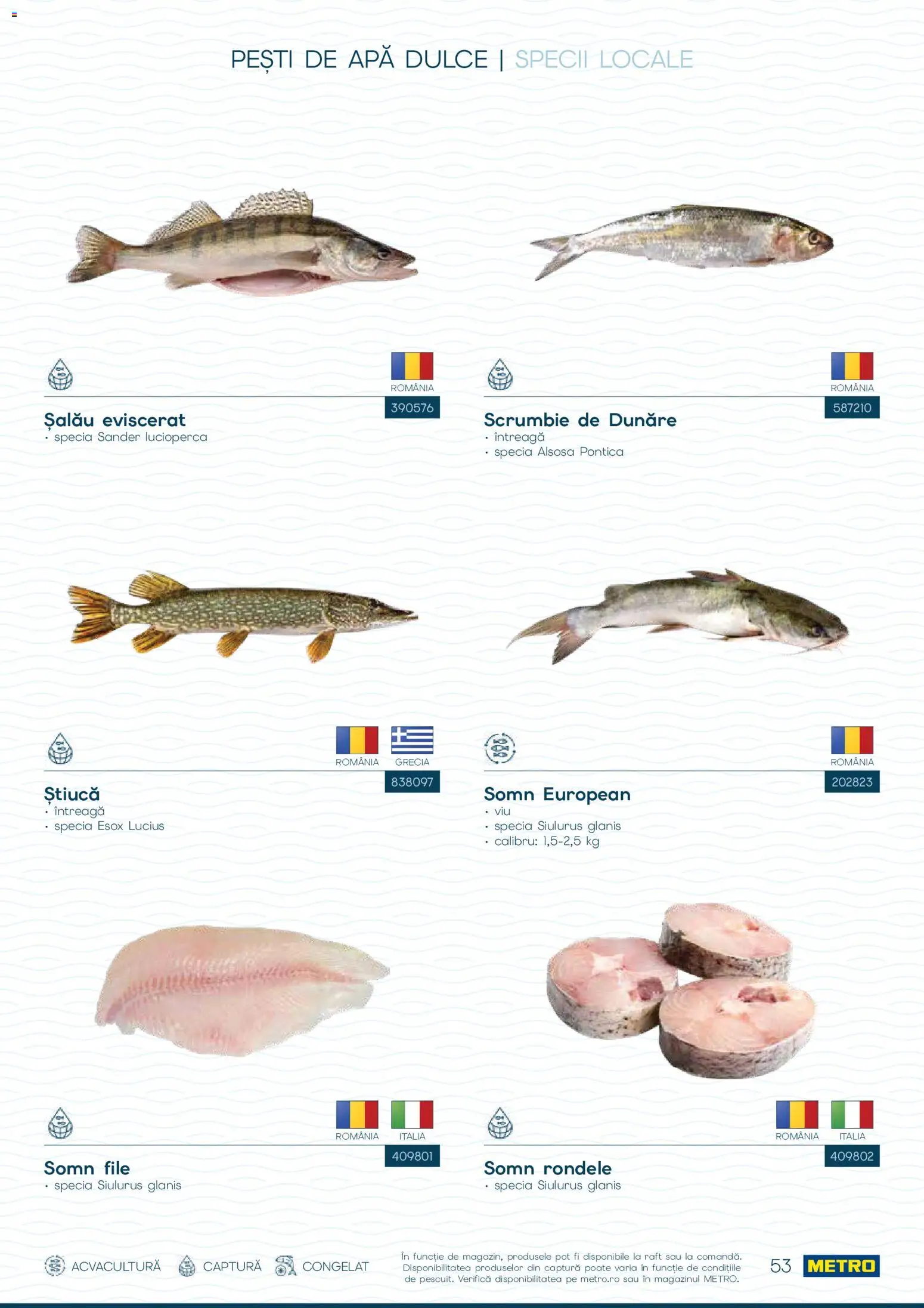 Catalog METRO 1 Octombrie - 30 Decembrie 2026 | Pagina 53 | Produse: Raft, Apă