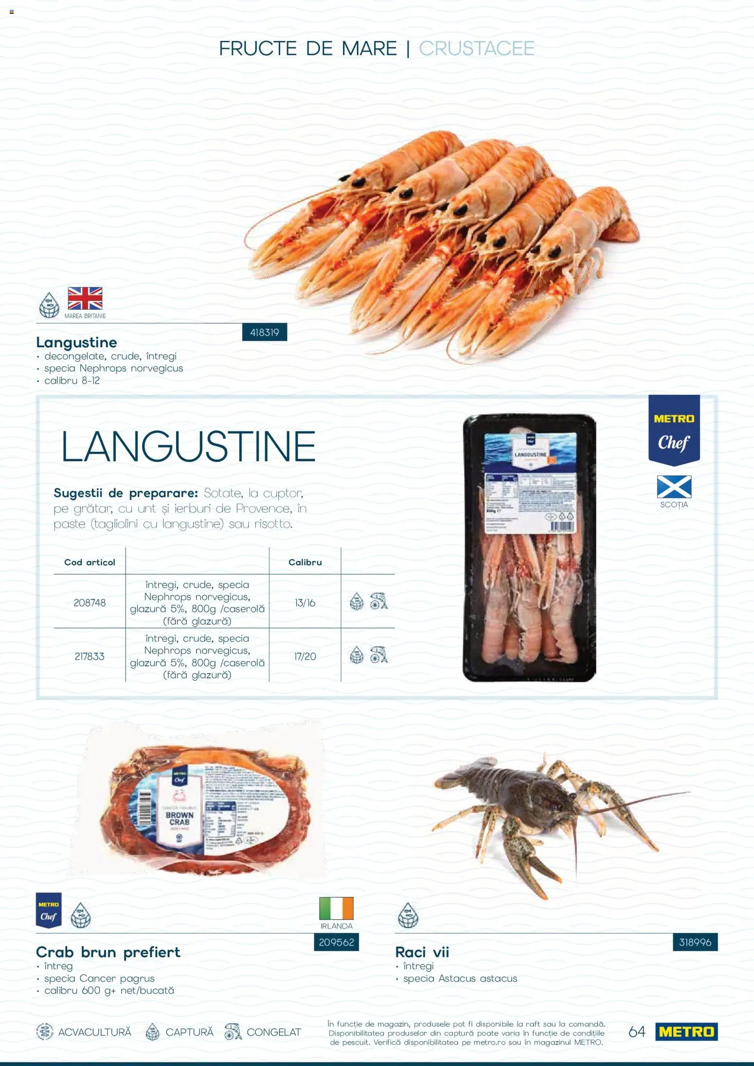 Catalog METRO 1 Octombrie - 30 Decembrie 2026 | Pagina 64 | Produse: Raft, Paste, Fructe, Fructe De Mare