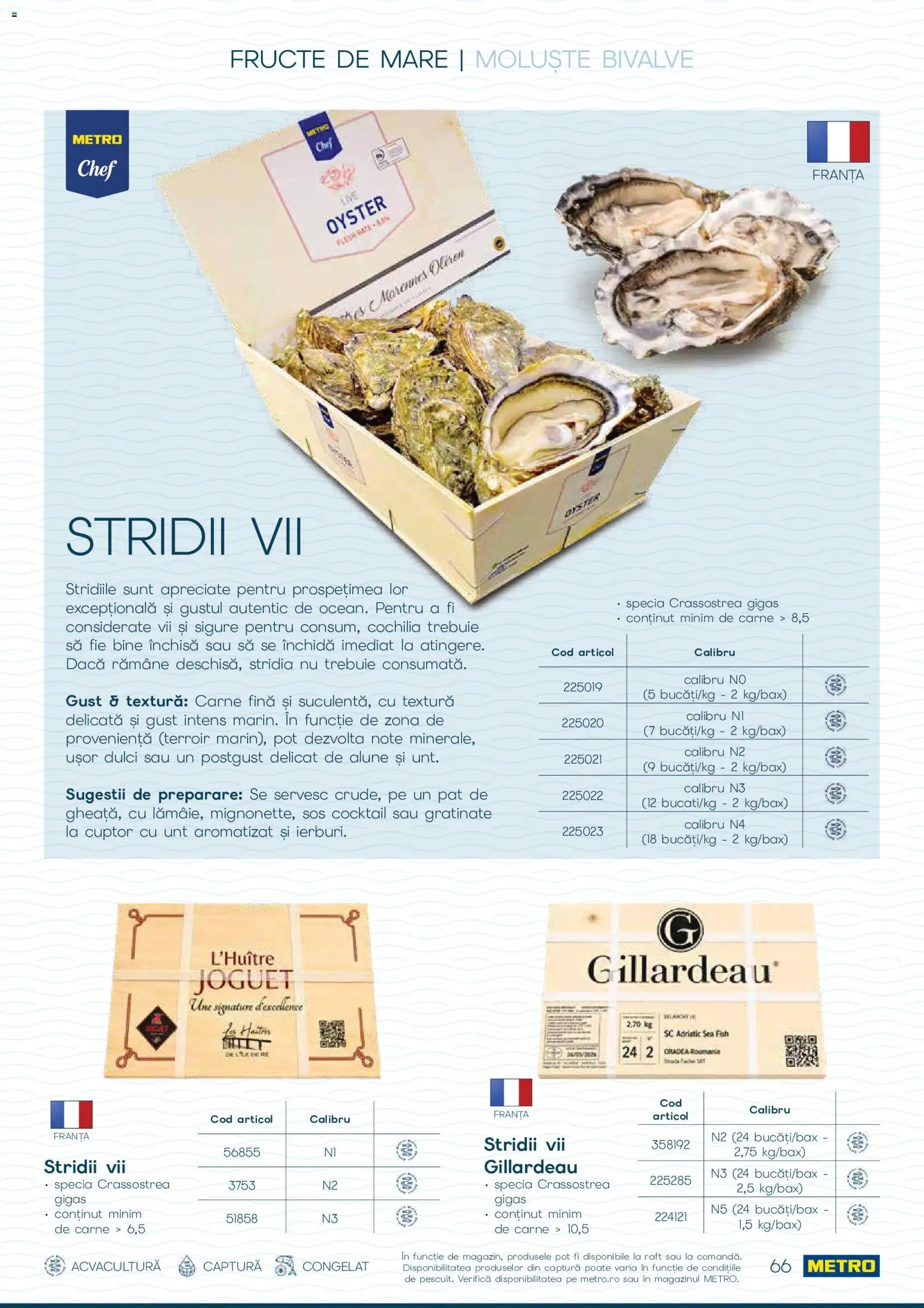 Catalog METRO 1 Octombrie - 30 Decembrie 2026 | Pagina 66 | Produse: Pat, Alune, Cocktail, Sos