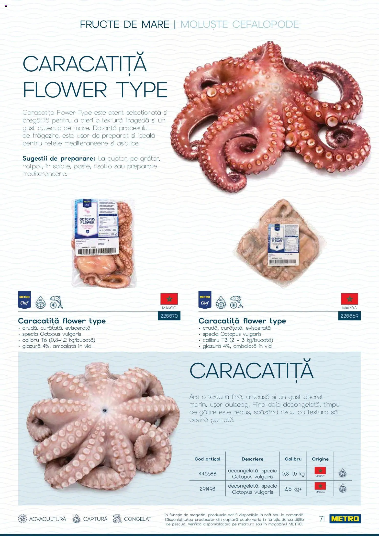 Catalog METRO 1 Octombrie - 30 Decembrie 2026 | Pagina 71 | Produse: Raft, Fructe, Fructe De Mare