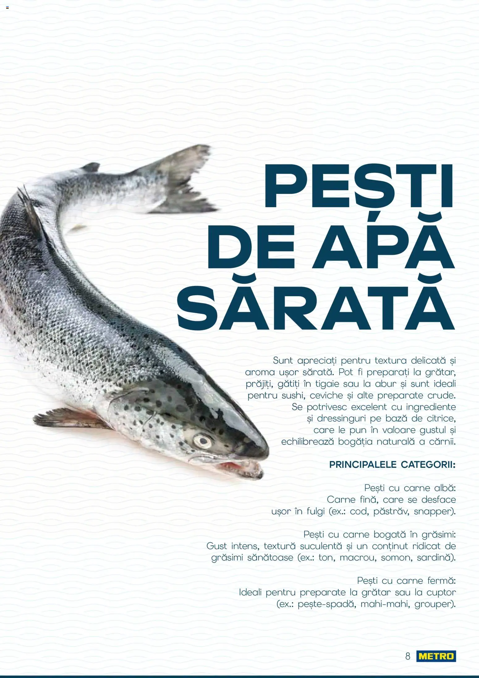 Catalog METRO 1 Octombrie - 30 Decembrie 2026 | Pagina 8 | Produse: Cuptor, Grătar, Fulgi, Apă