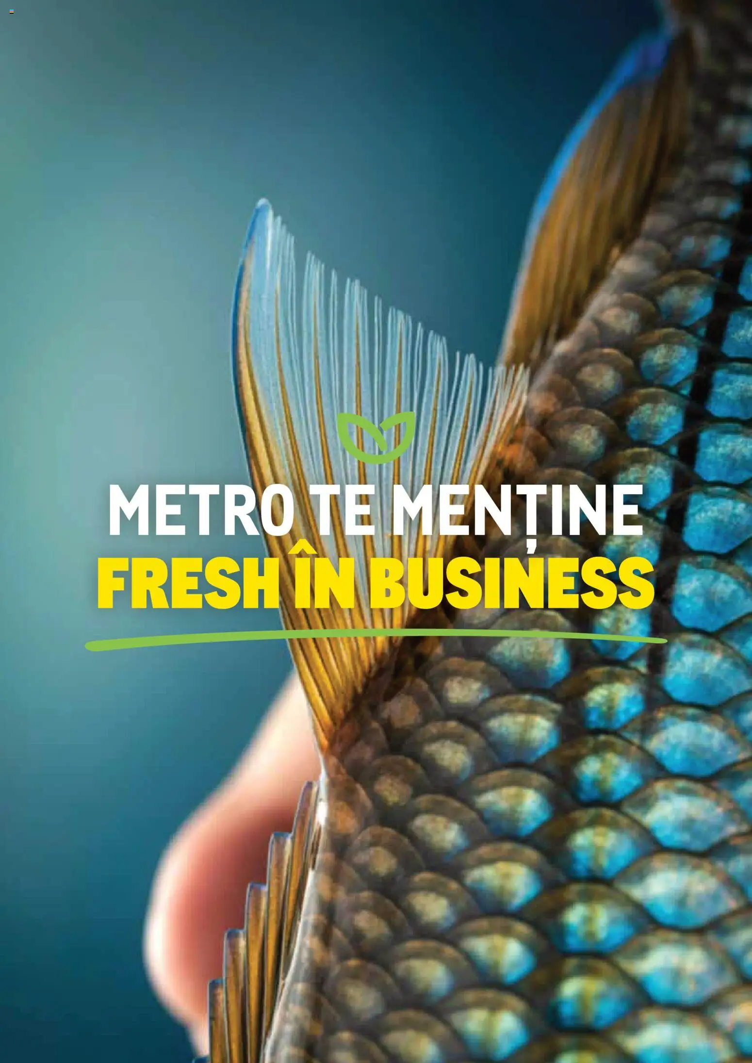 Catalog METRO 1 Octombrie - 30 Decembrie 2026 | Pagina 82