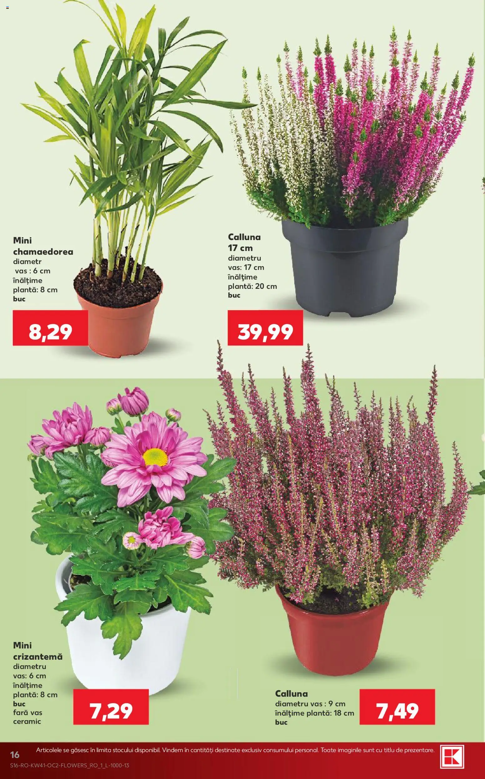 Catalog Kaufland 7 - 12 Octombrie 2026 | Pagina 16
