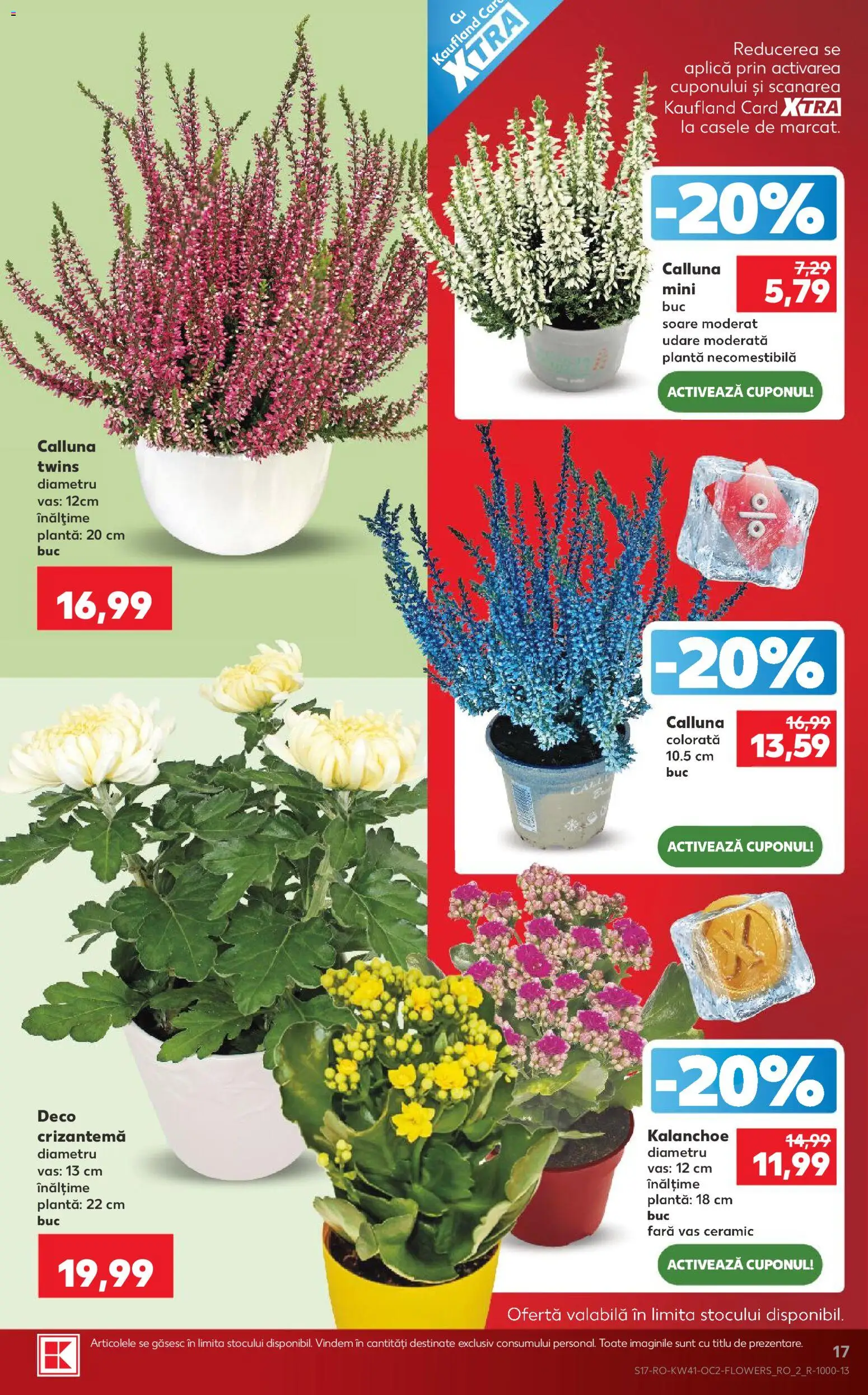 Catalog Kaufland 7 - 12 Octombrie 2026 | Pagina 17